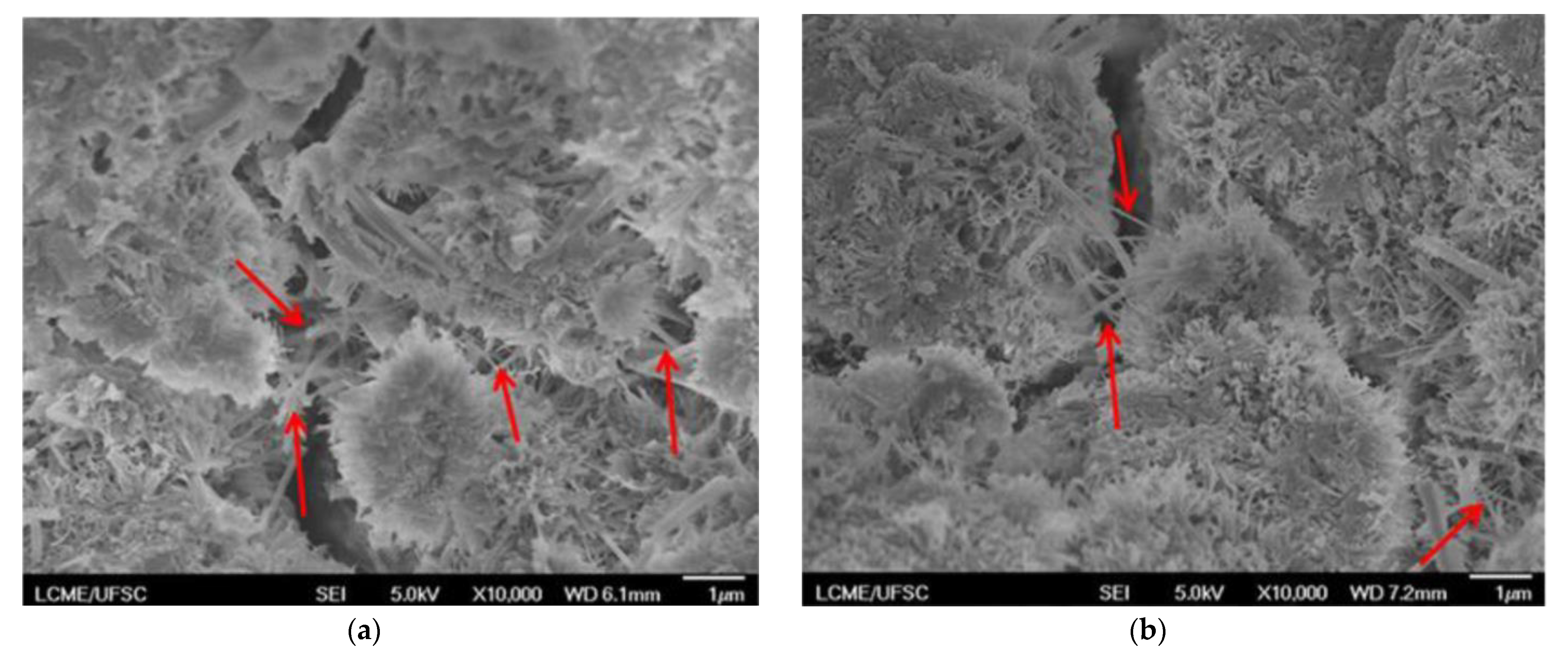 Materials 14 04062 g007