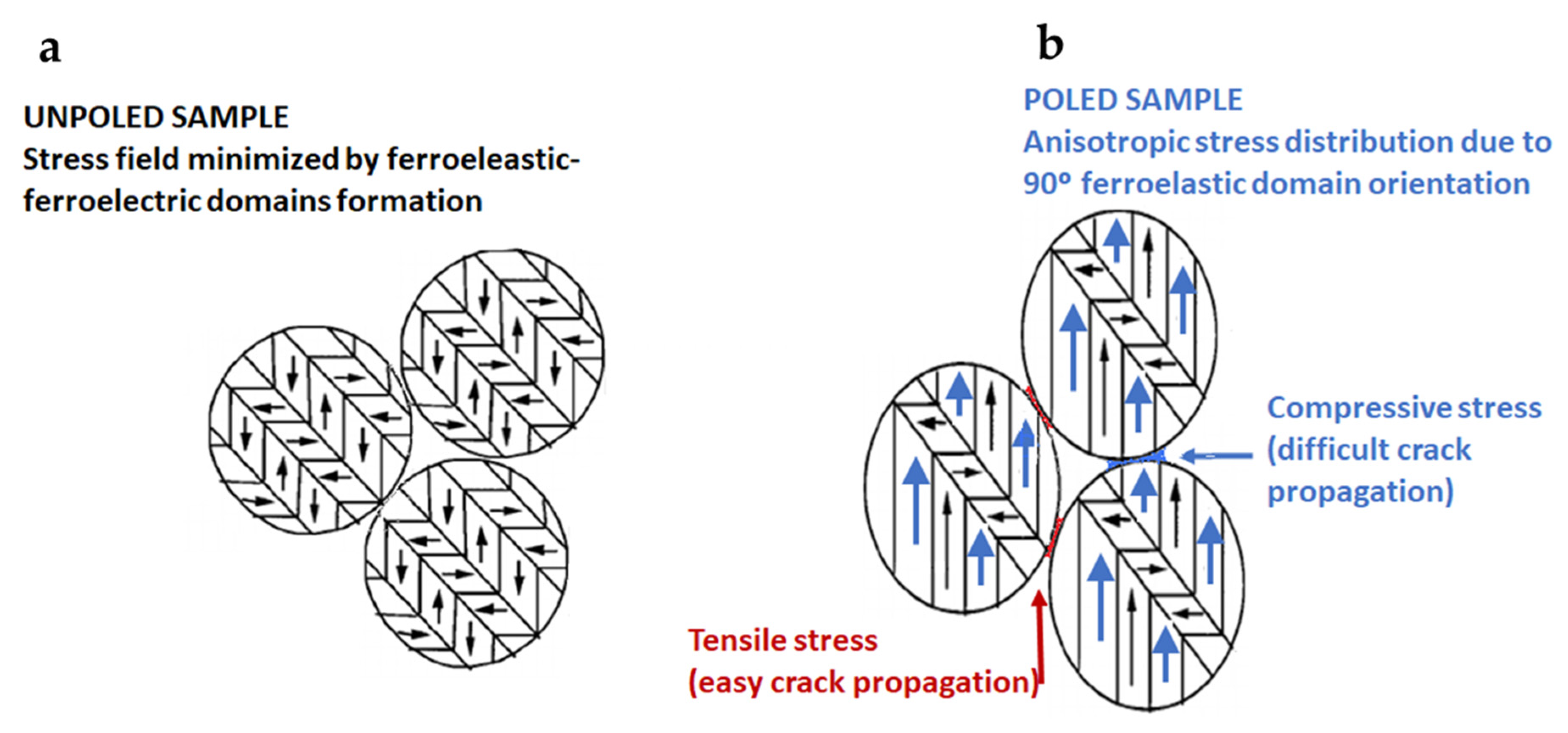 Materials 14 04113 g007