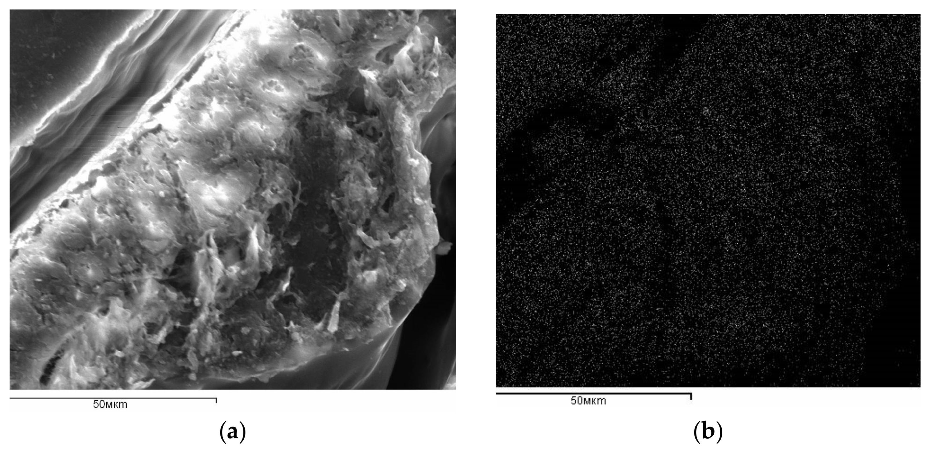 Materials 14 04119 g002a