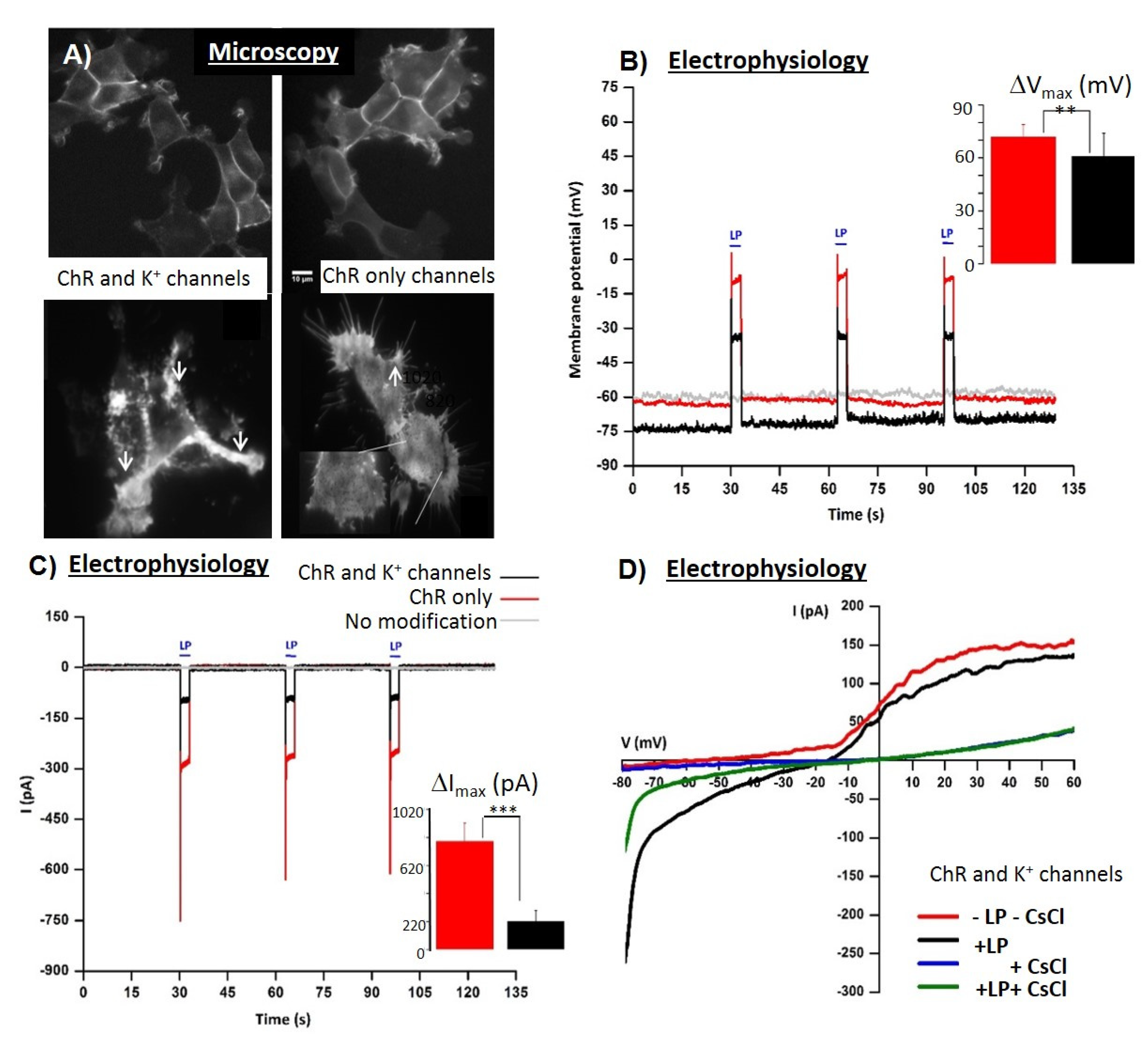 Materials 14 04151 g001