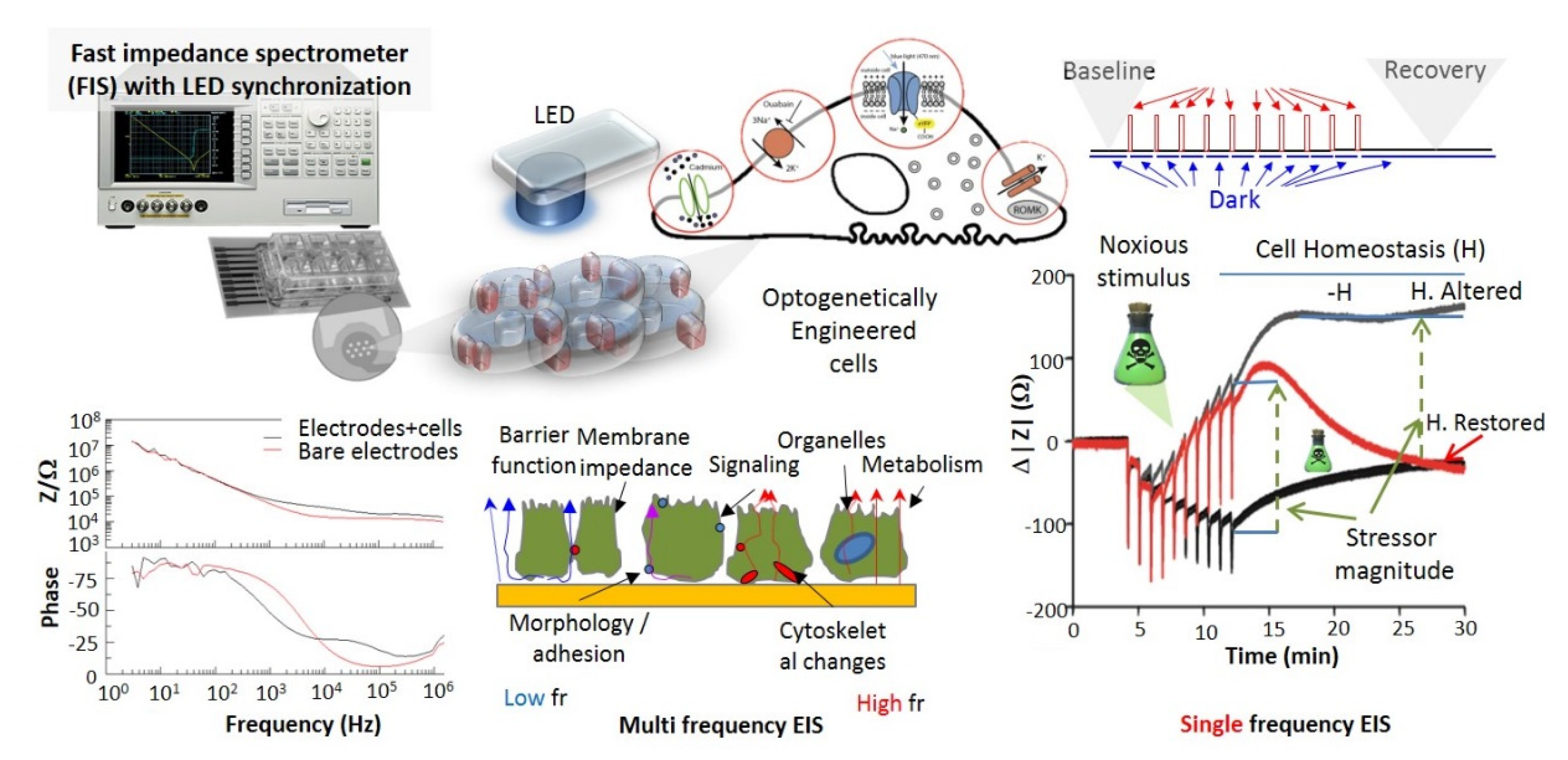Materials 14 04151 g003