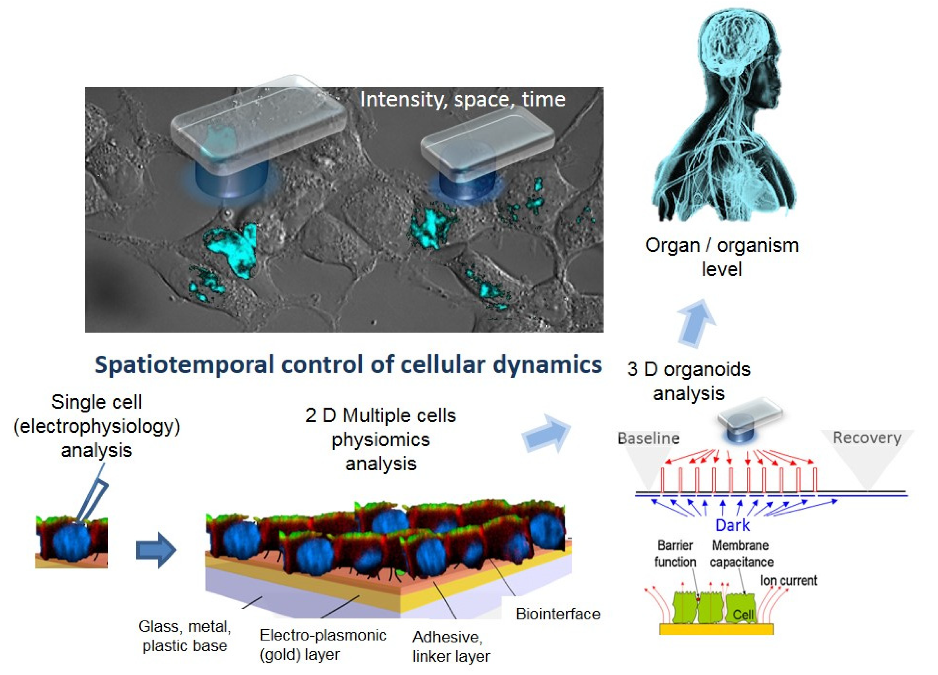 Materials 14 04151 sch001