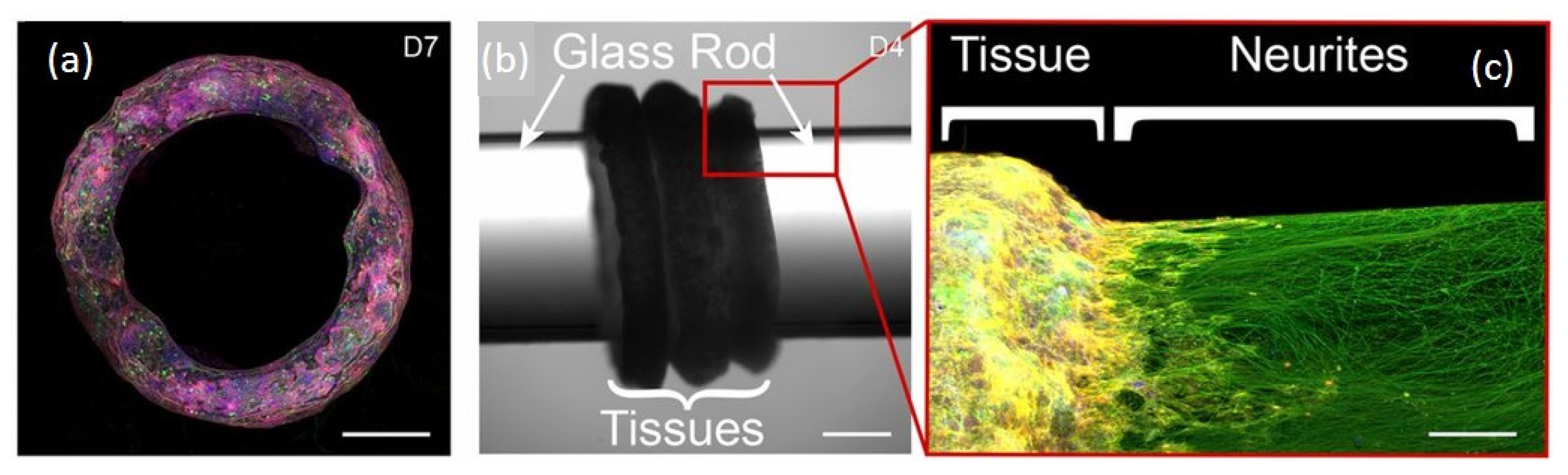 Materials 14 04151 sch003