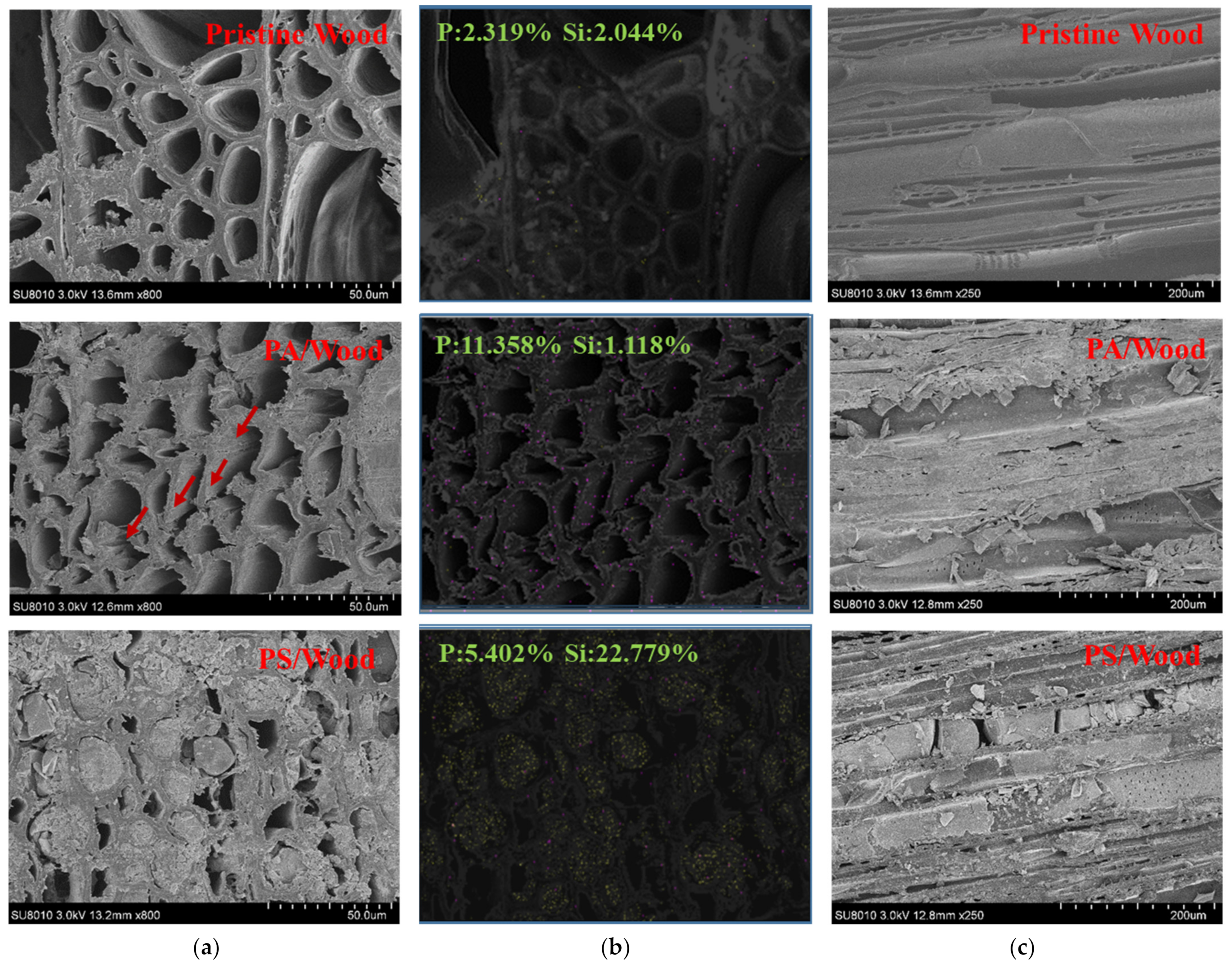 Materials 14 04164 g006