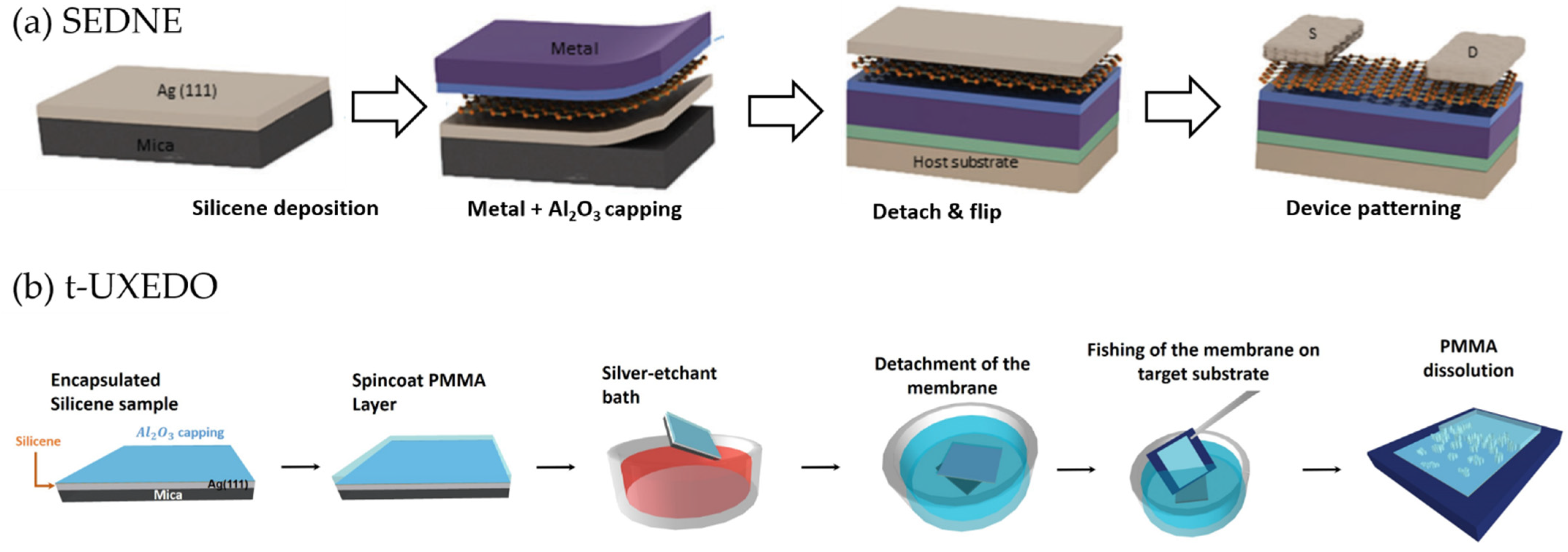 Materials 14 04170 g004 Materials 14 04170 g004
