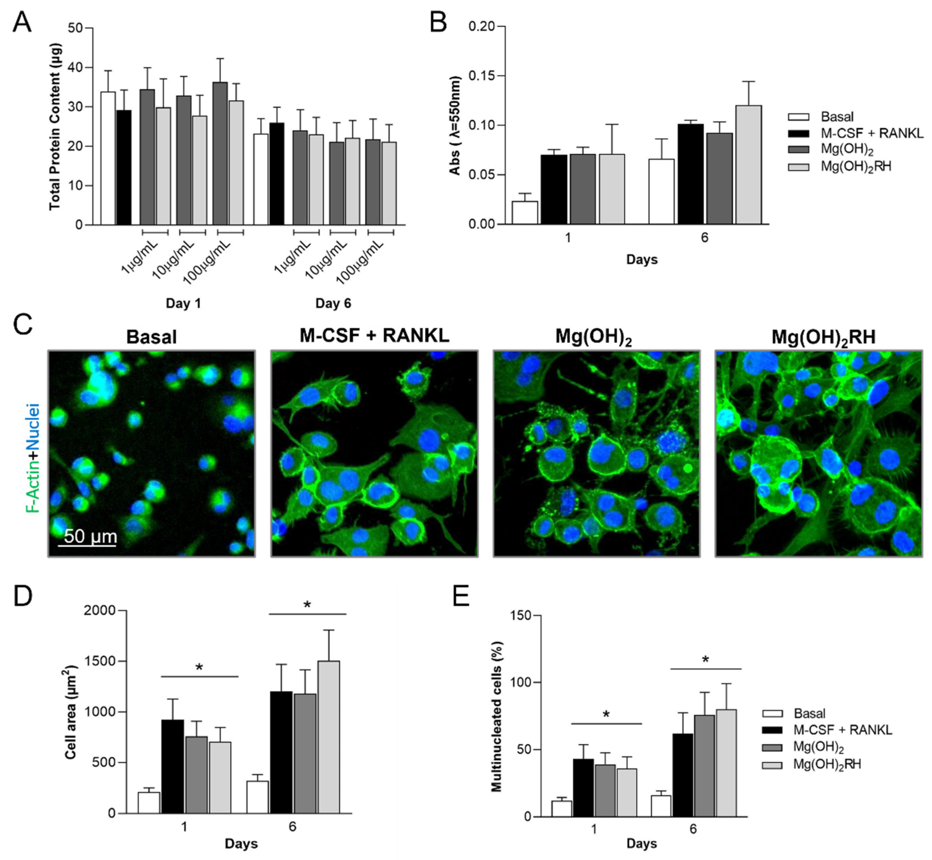 Materials 14 04172 g004