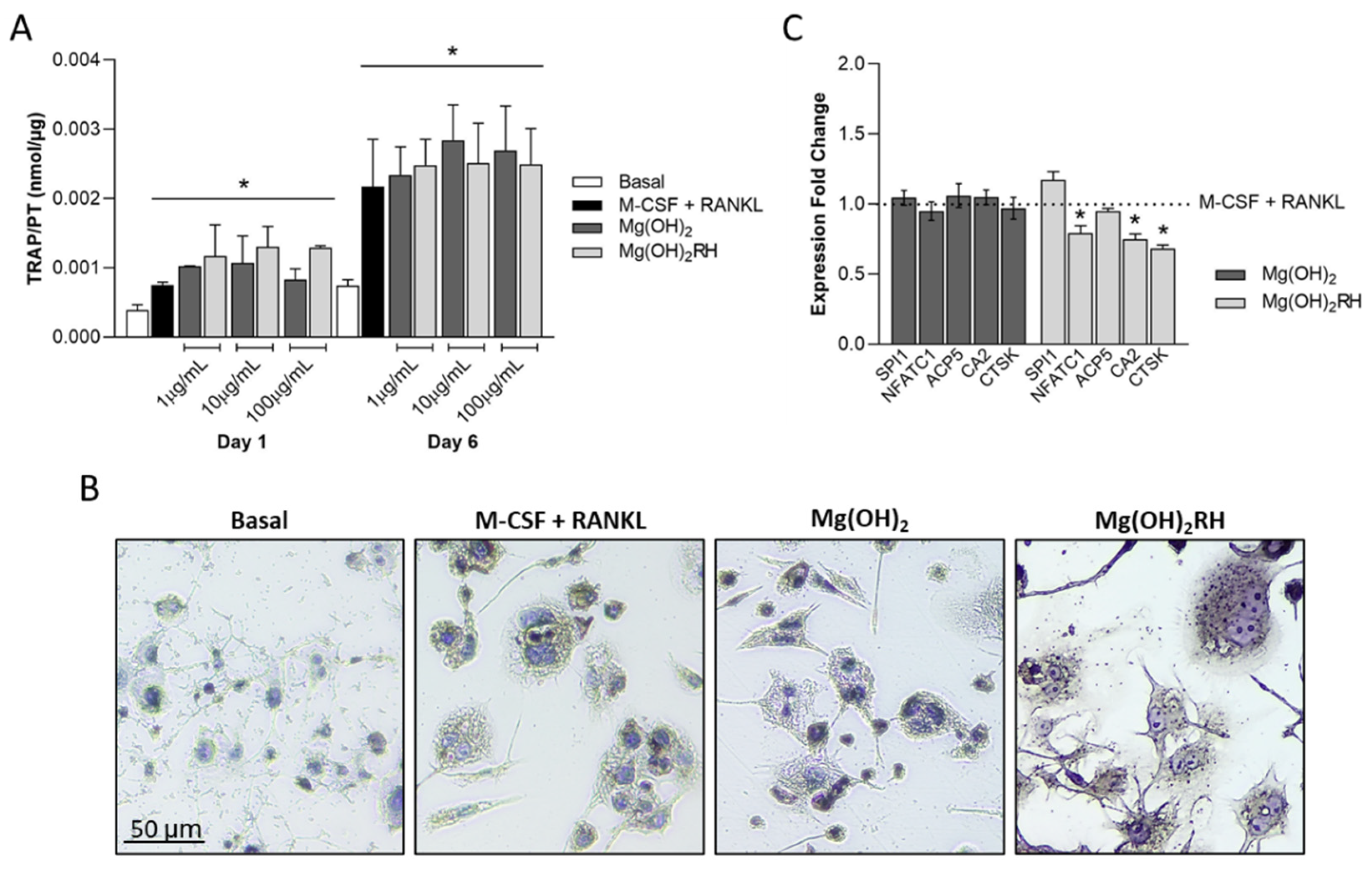 Materials 14 04172 g005