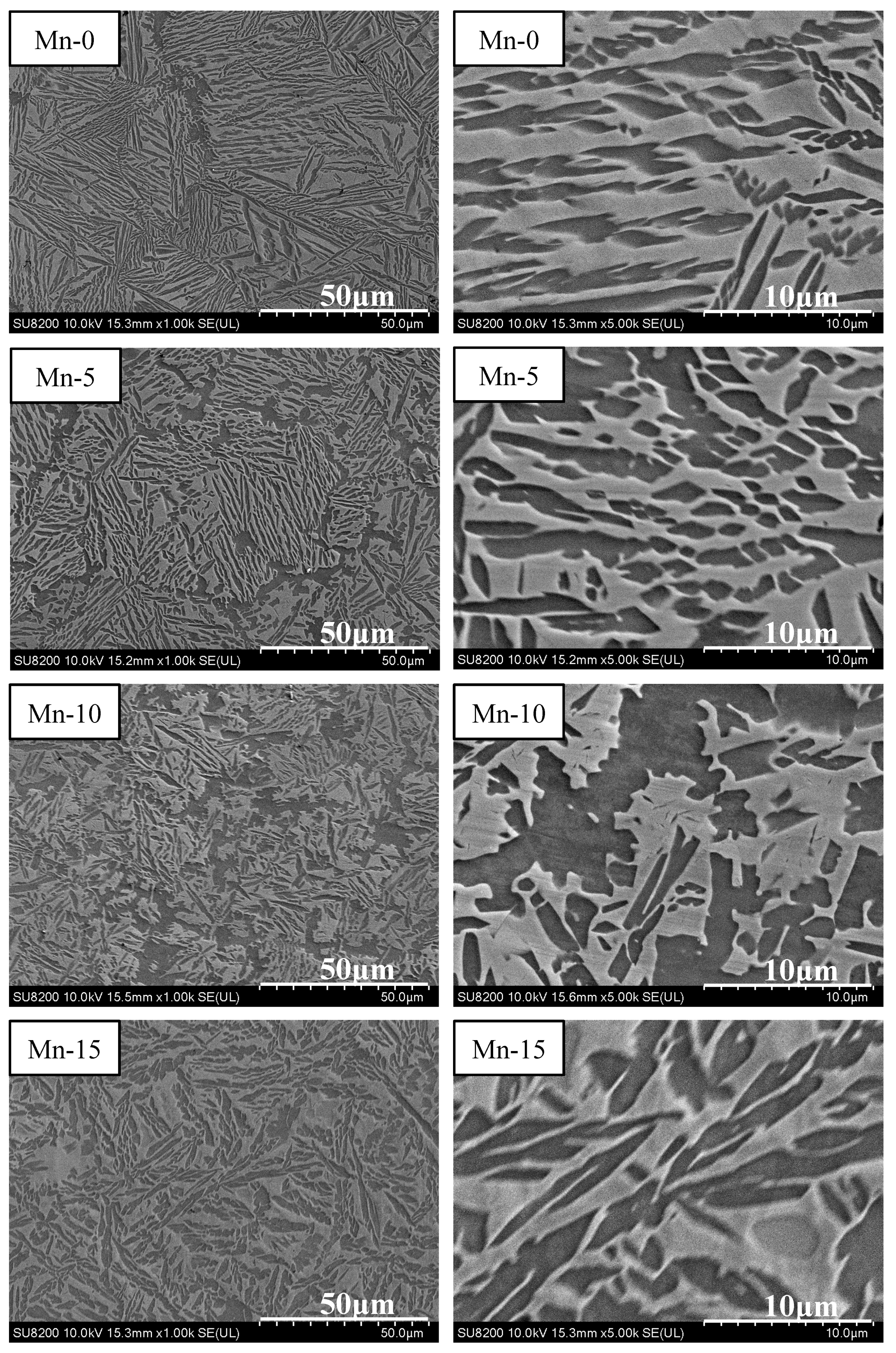 Materials 14 04223 g006