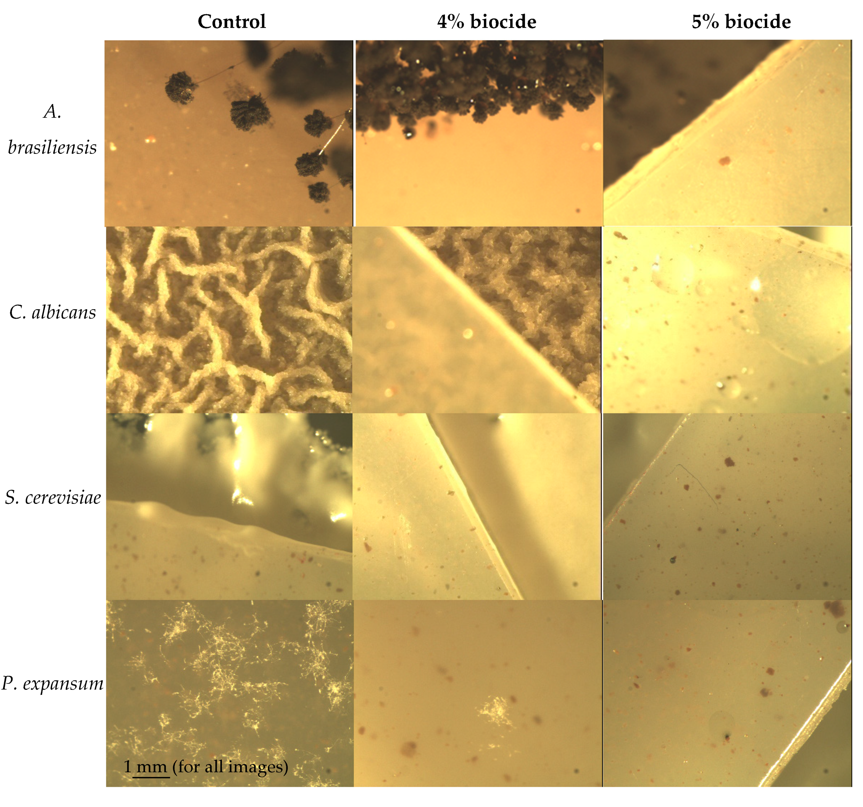 Materials 14 04228 g003