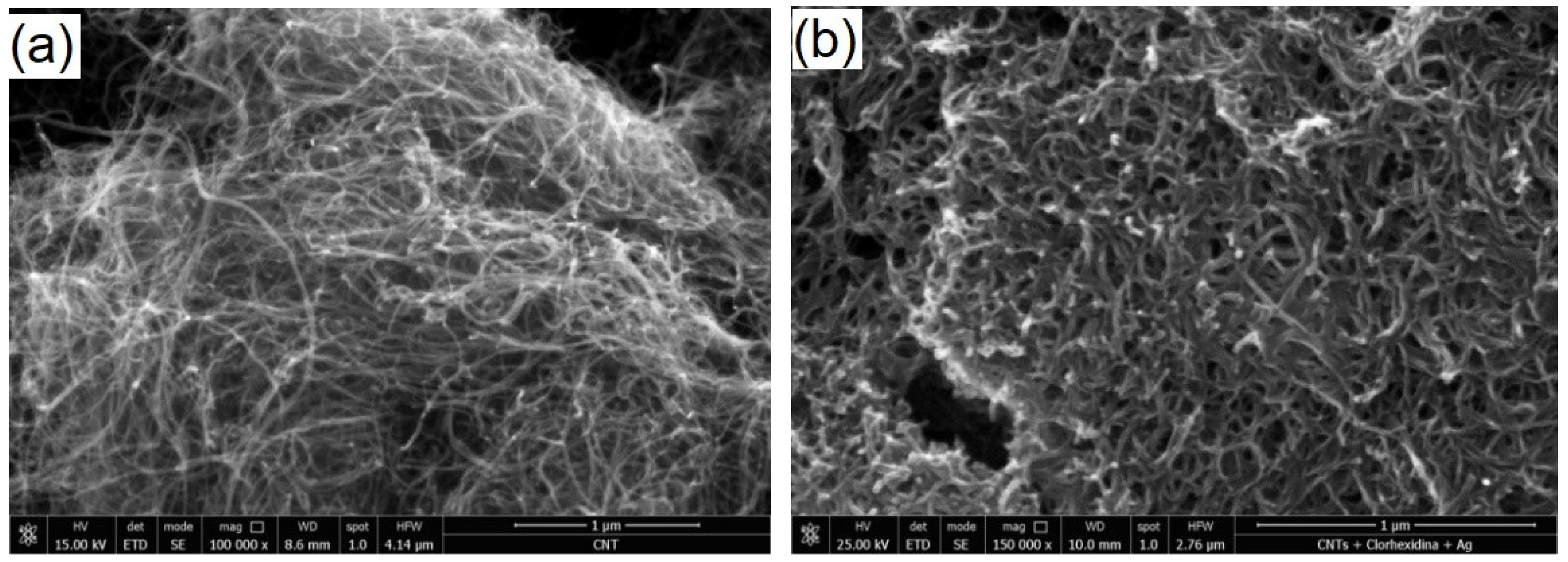 Materials 14 04248 g003a
