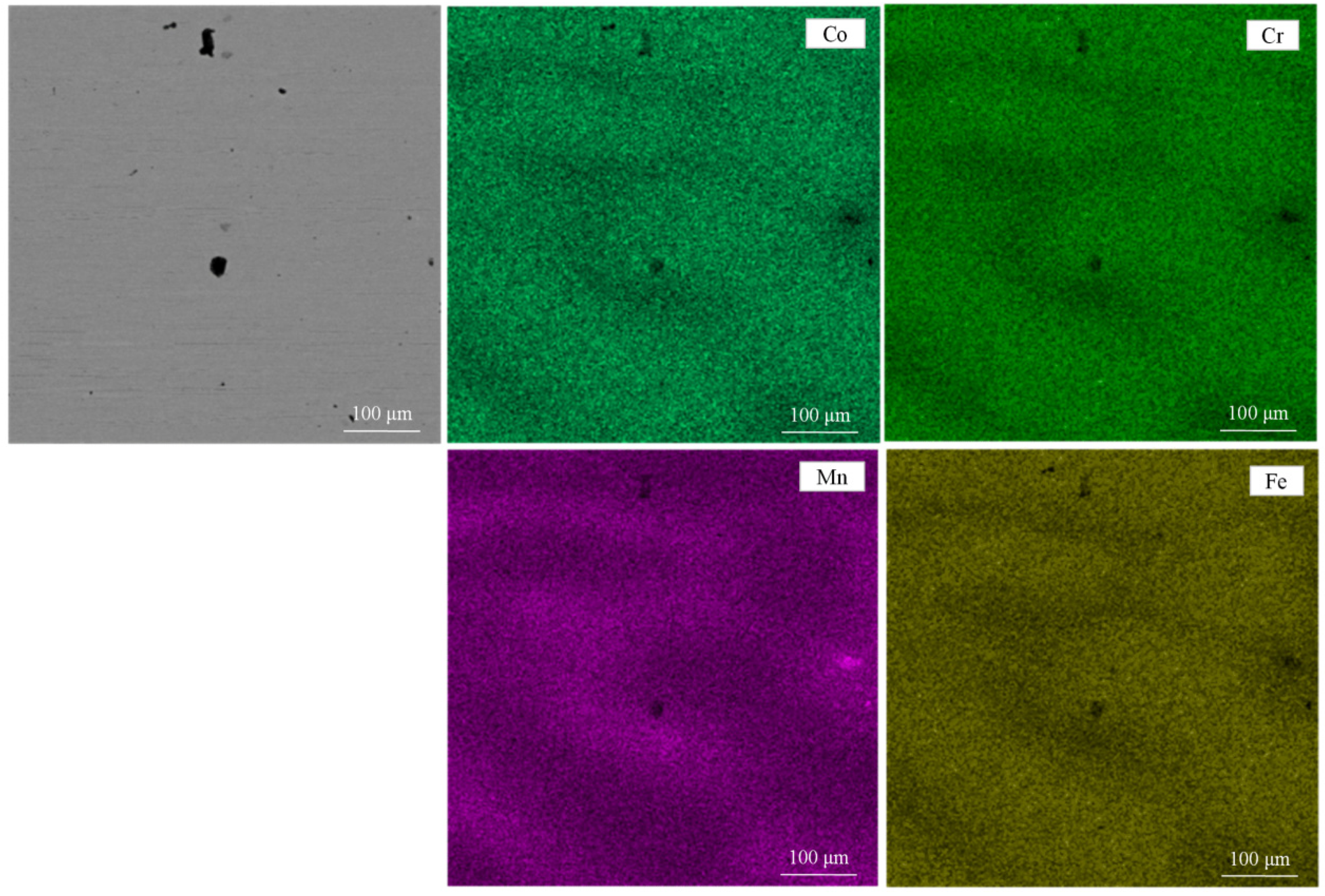 Materials 14 04259 g001