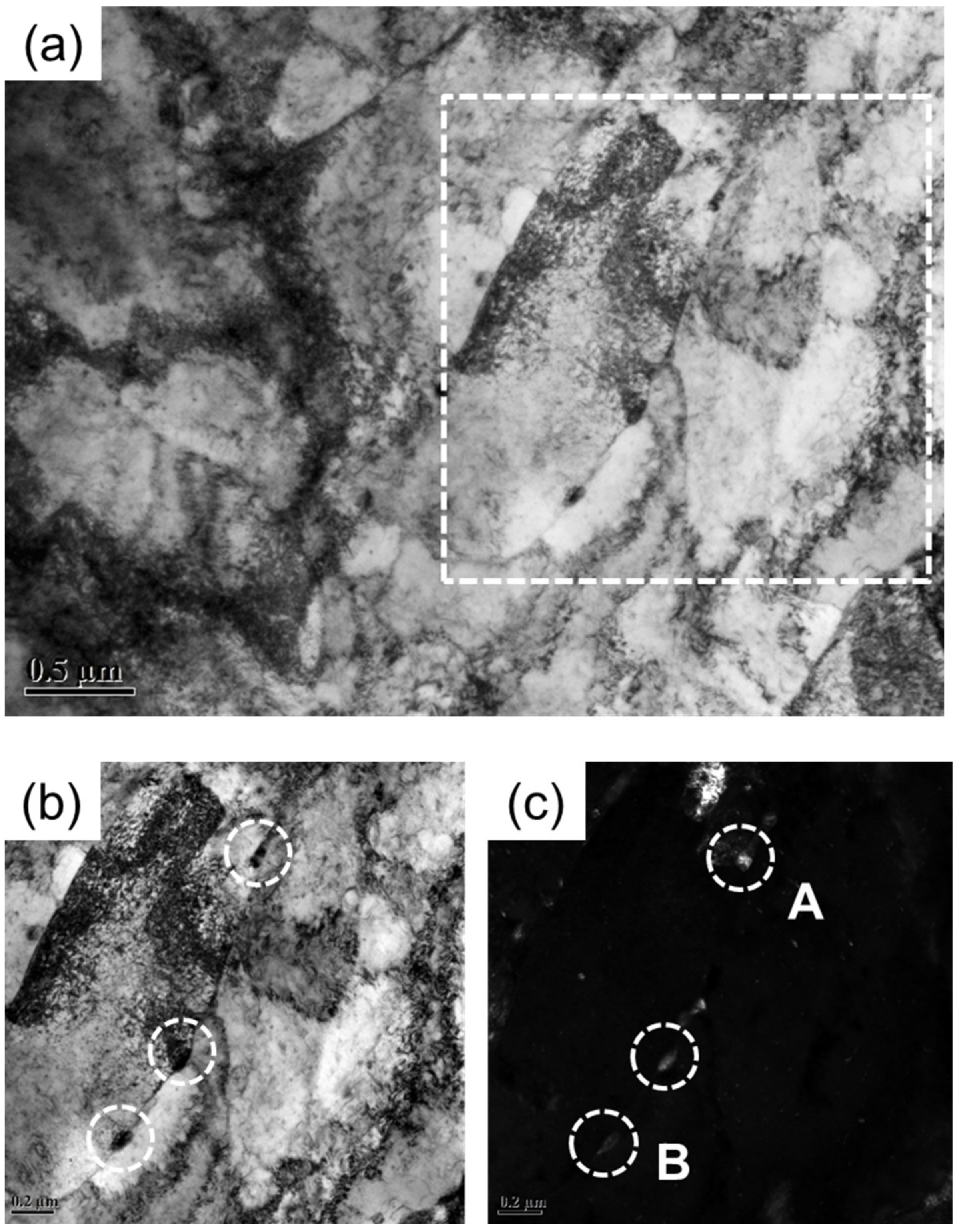 Materials 14 04276 g004