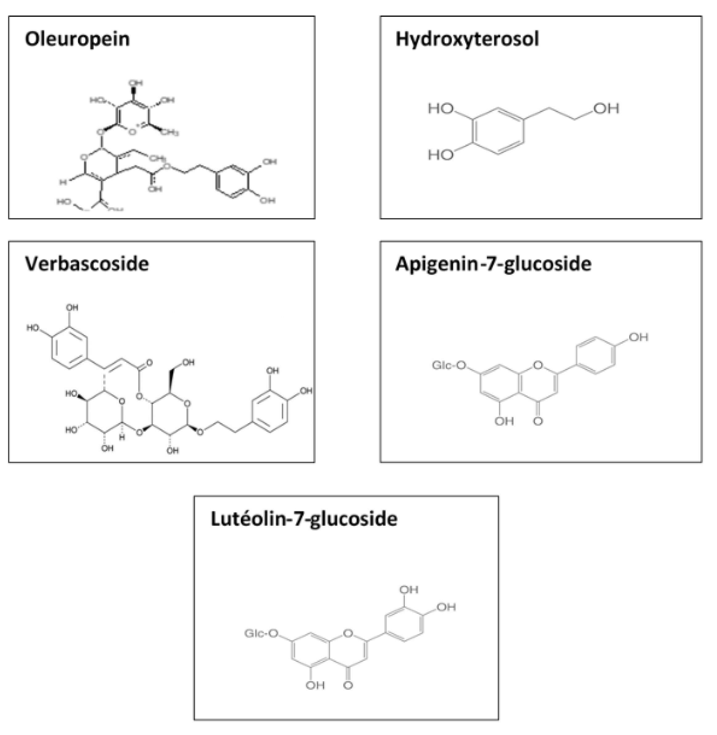 Materials 14 04306 g001