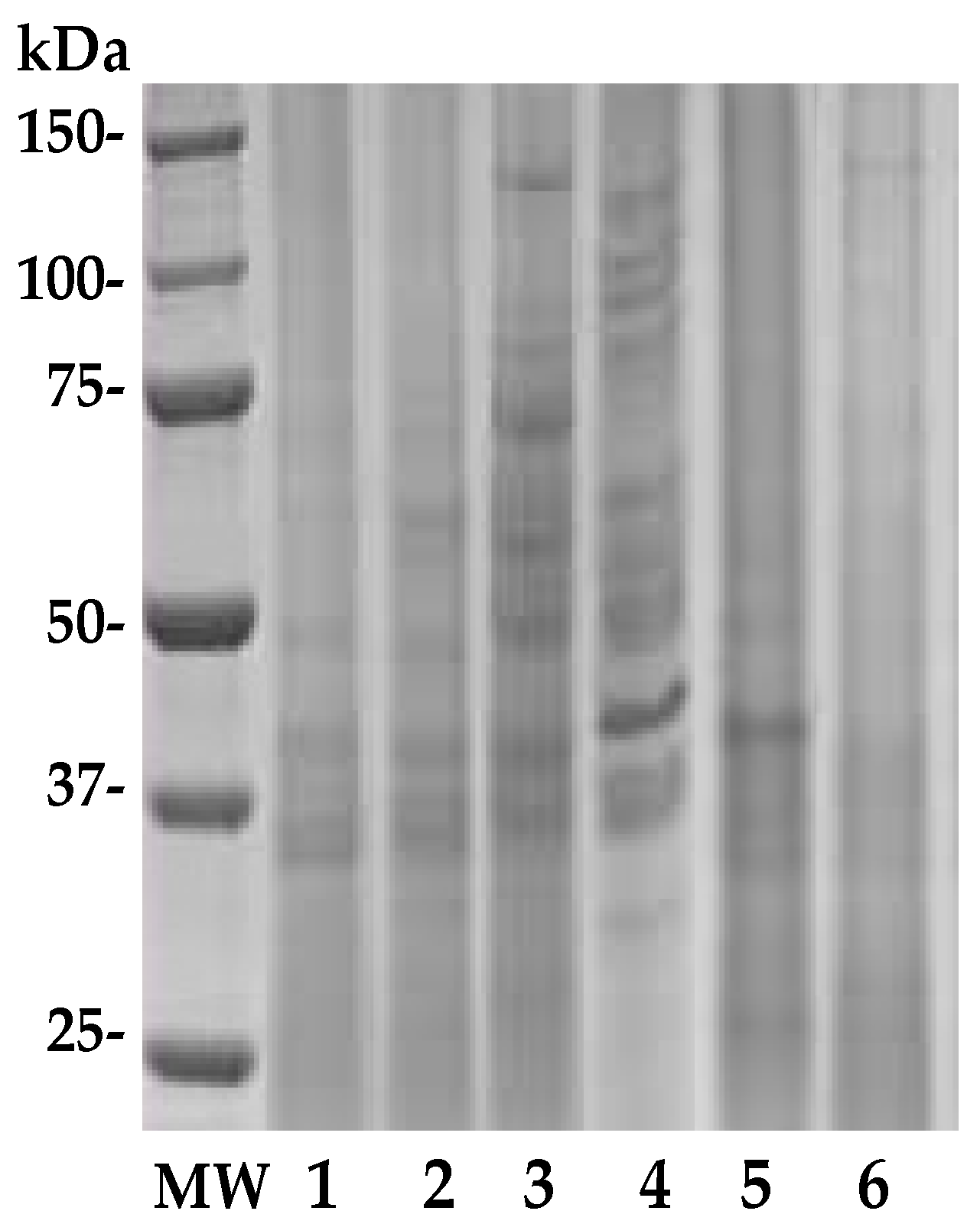 Materials 14 04338 g001