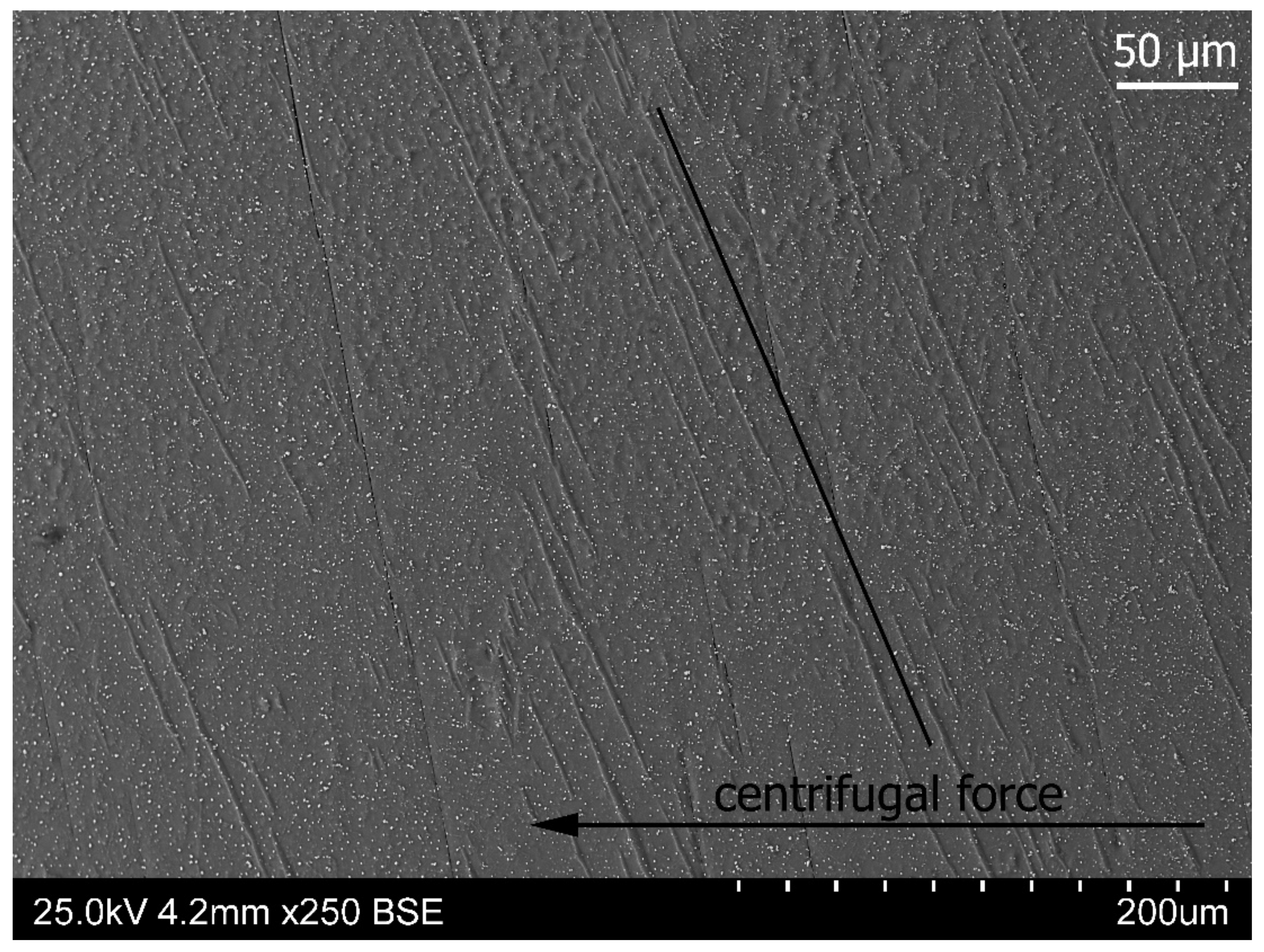 Materials 14 04341 g011