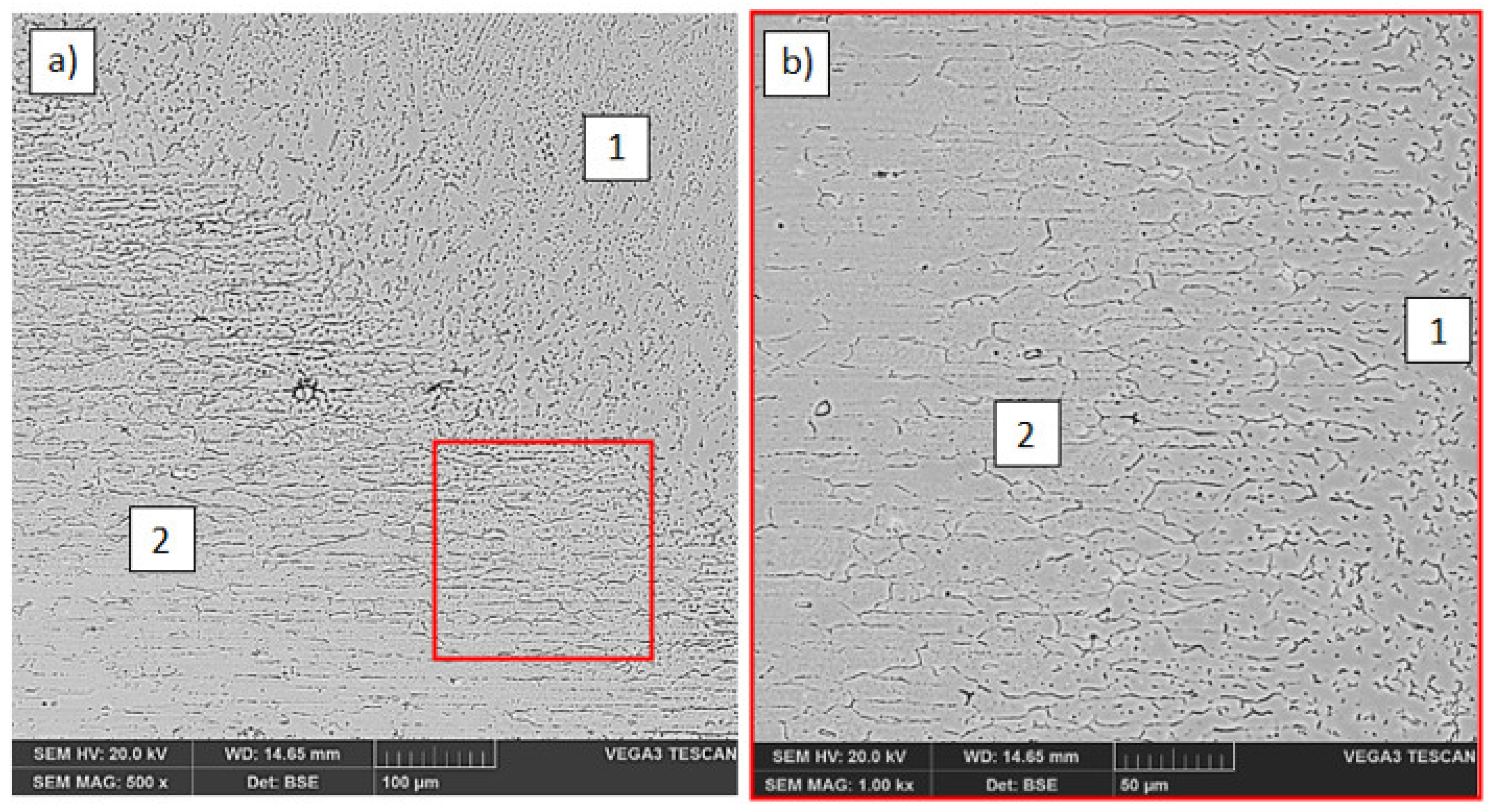 Materials 14 04349 g003