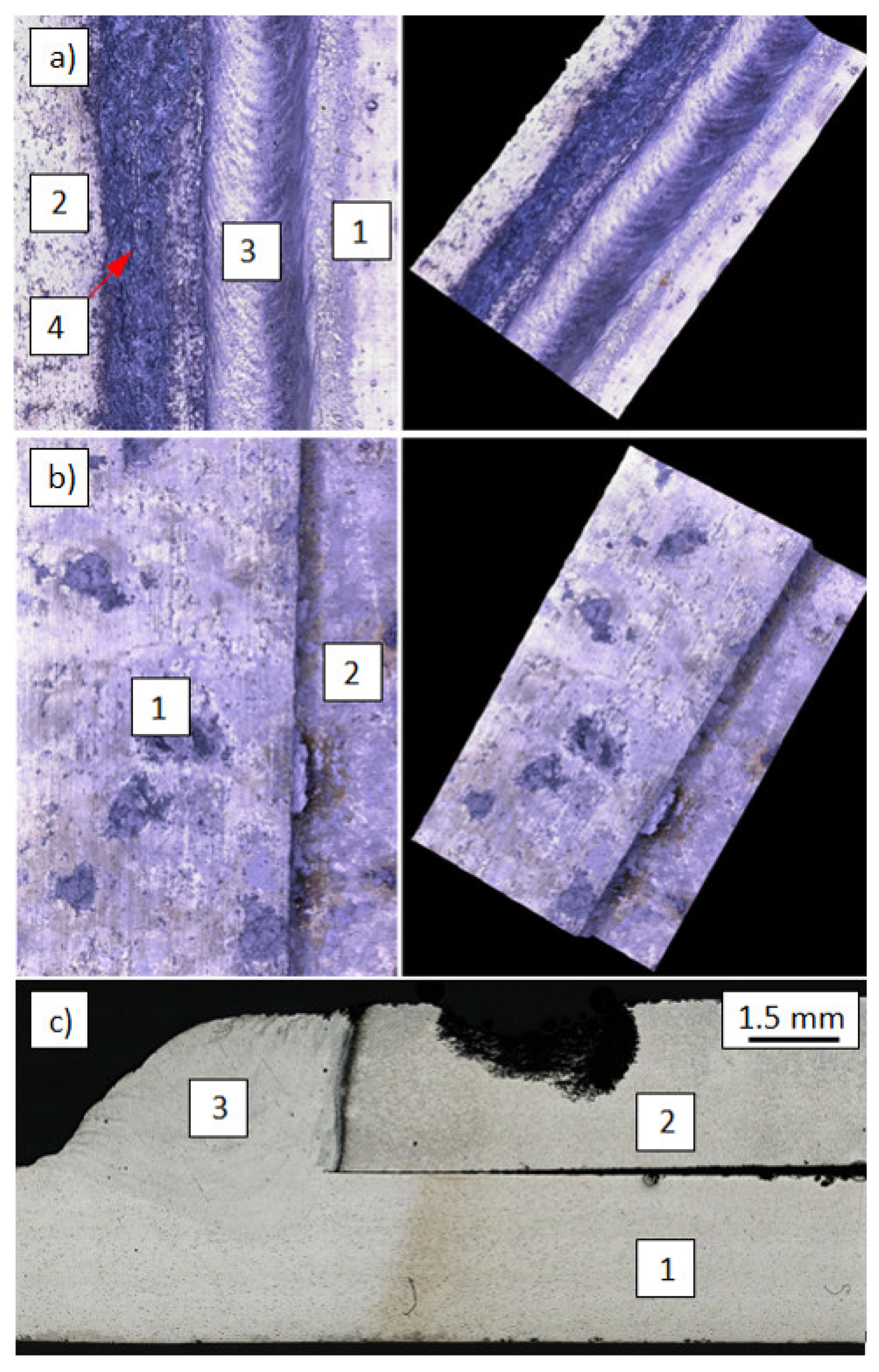 Materials 14 04349 g010