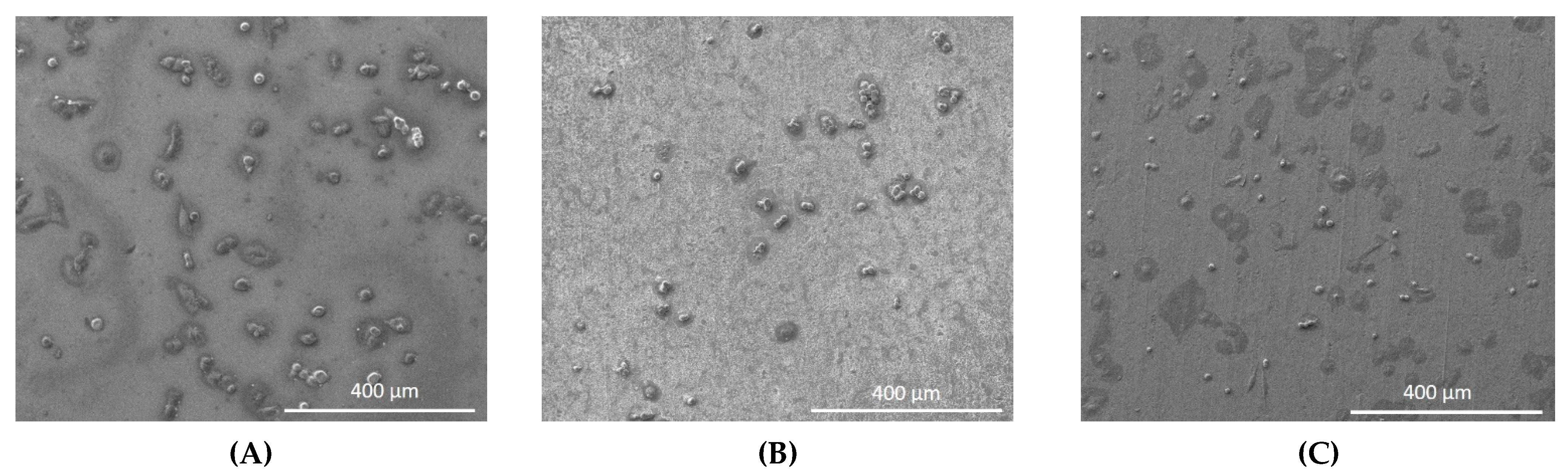 Materials 14 04357 g003