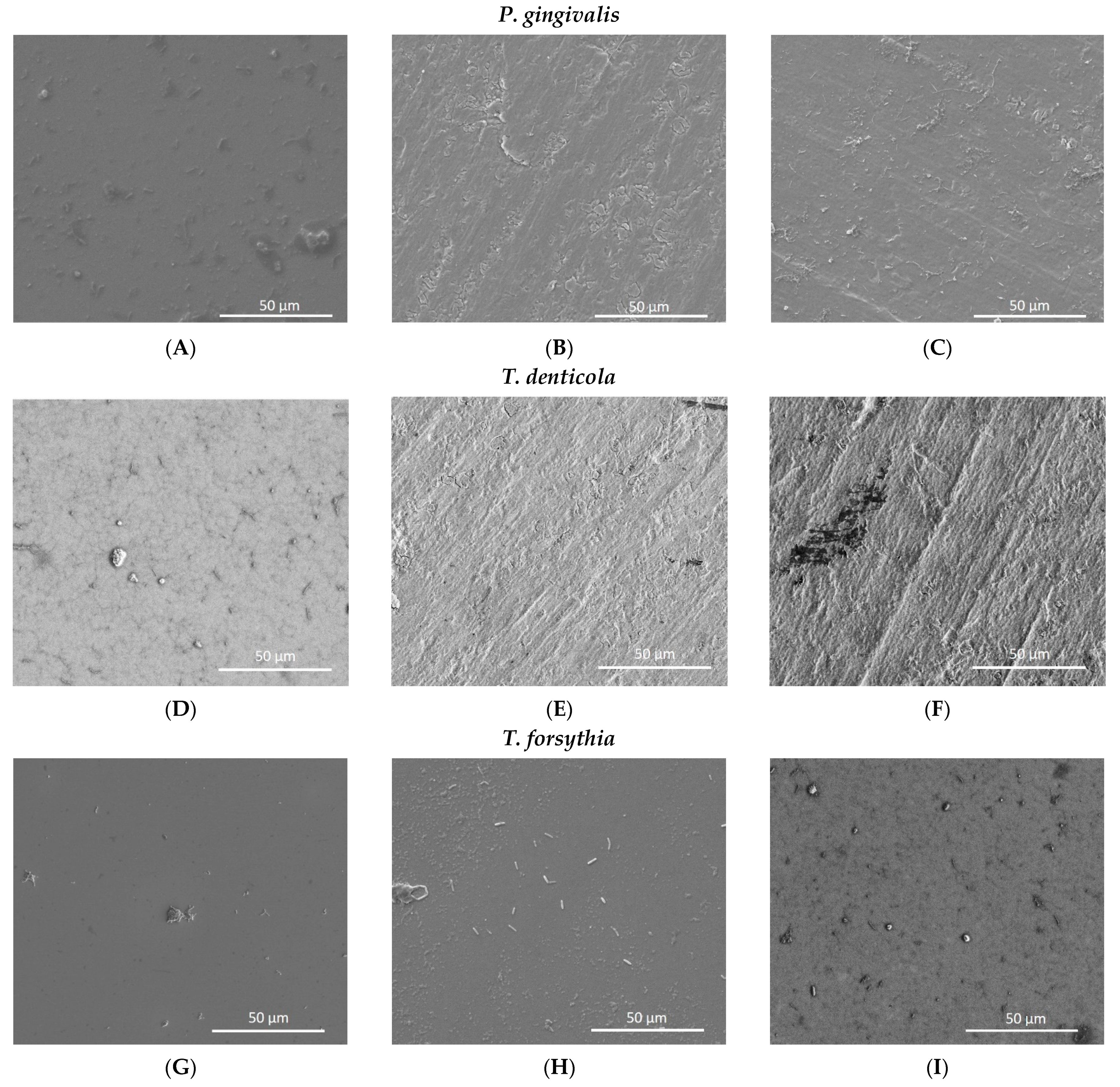 Materials 14 04357 g005