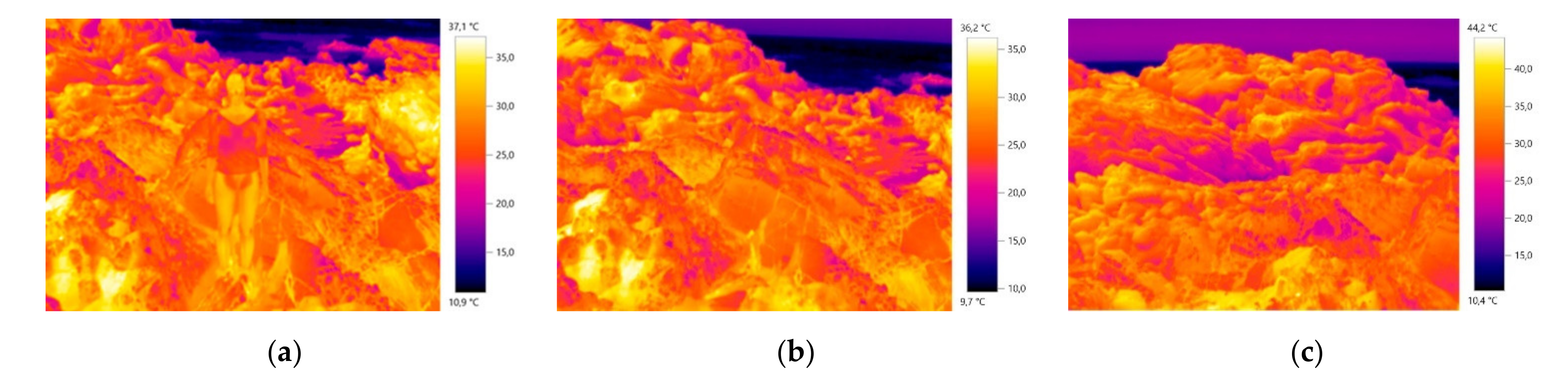 Materials 14 04364 g001