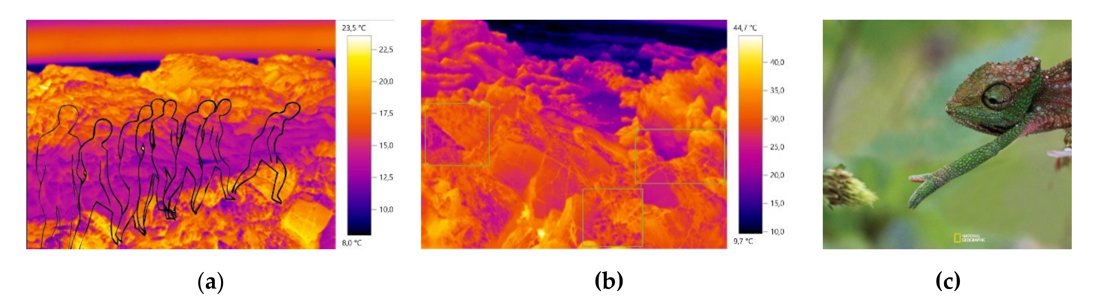 Materials 14 04364 g003