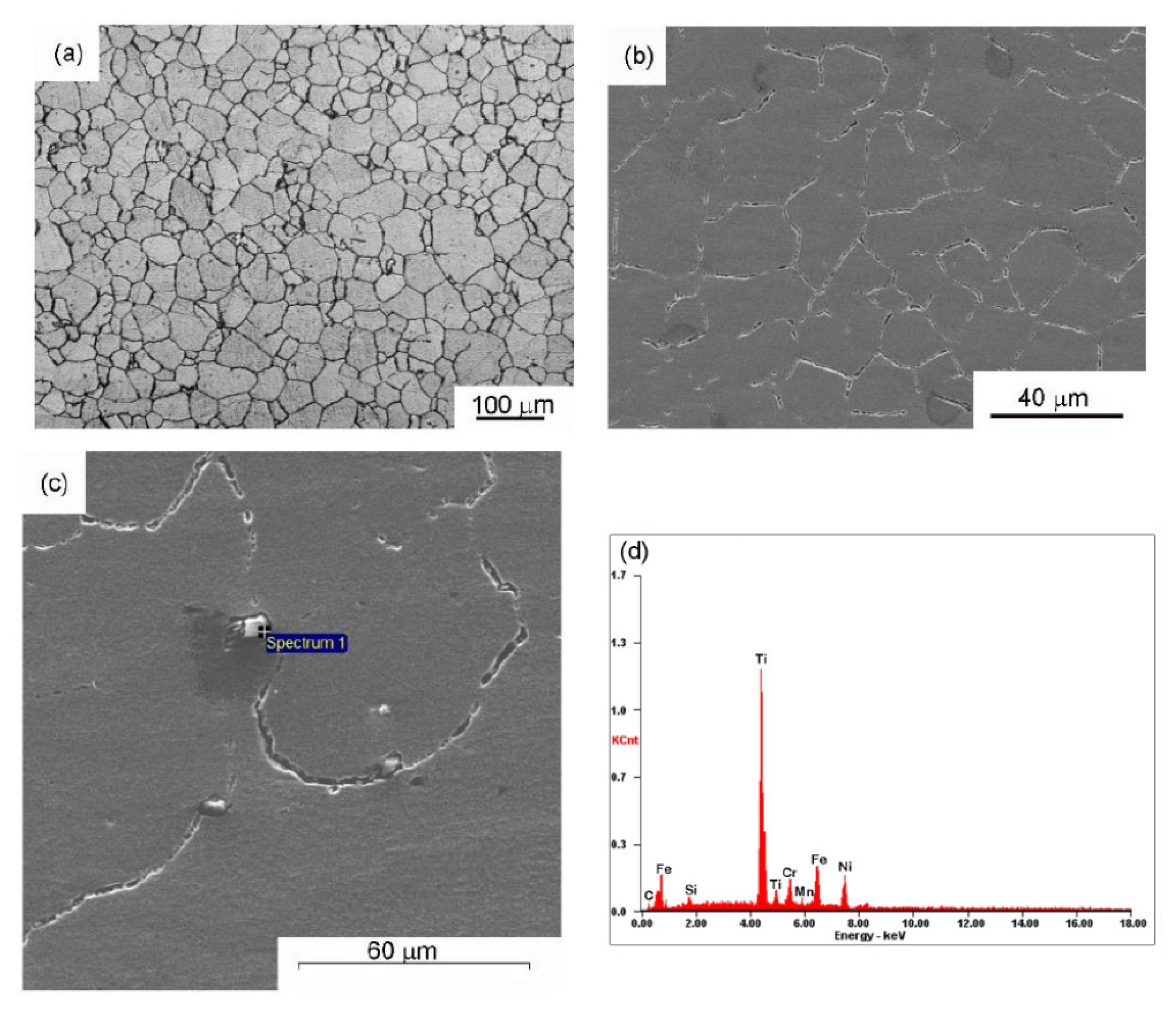 Materials 14 04366 g001