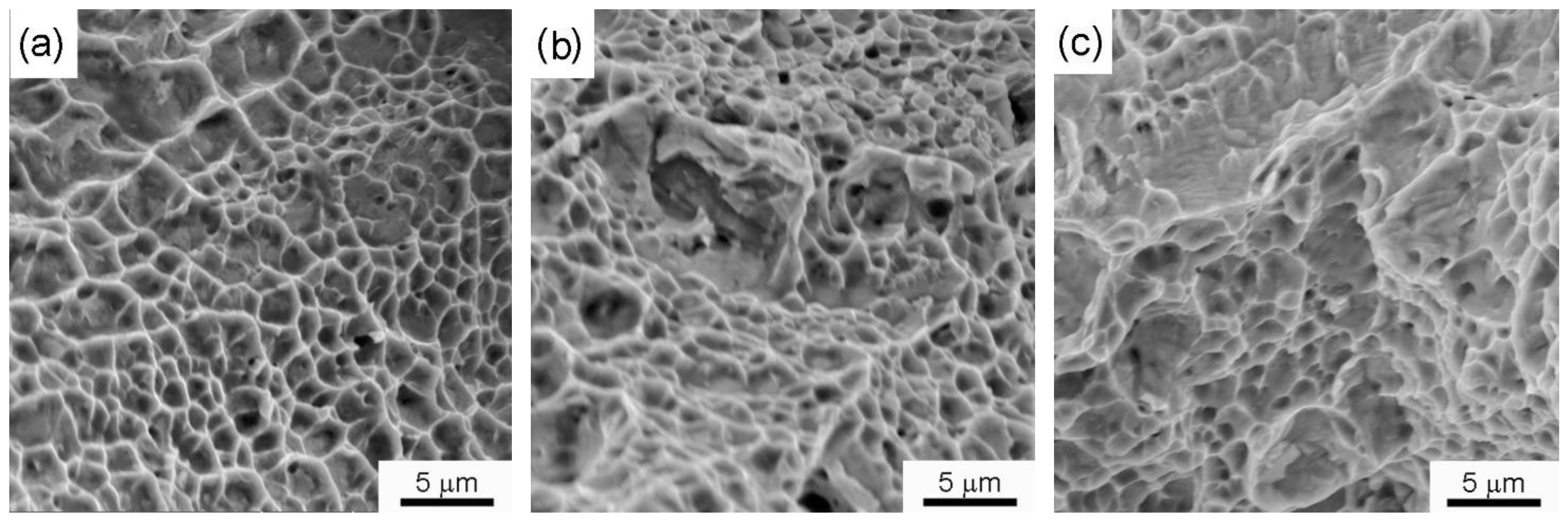 Materials 14 04366 g008