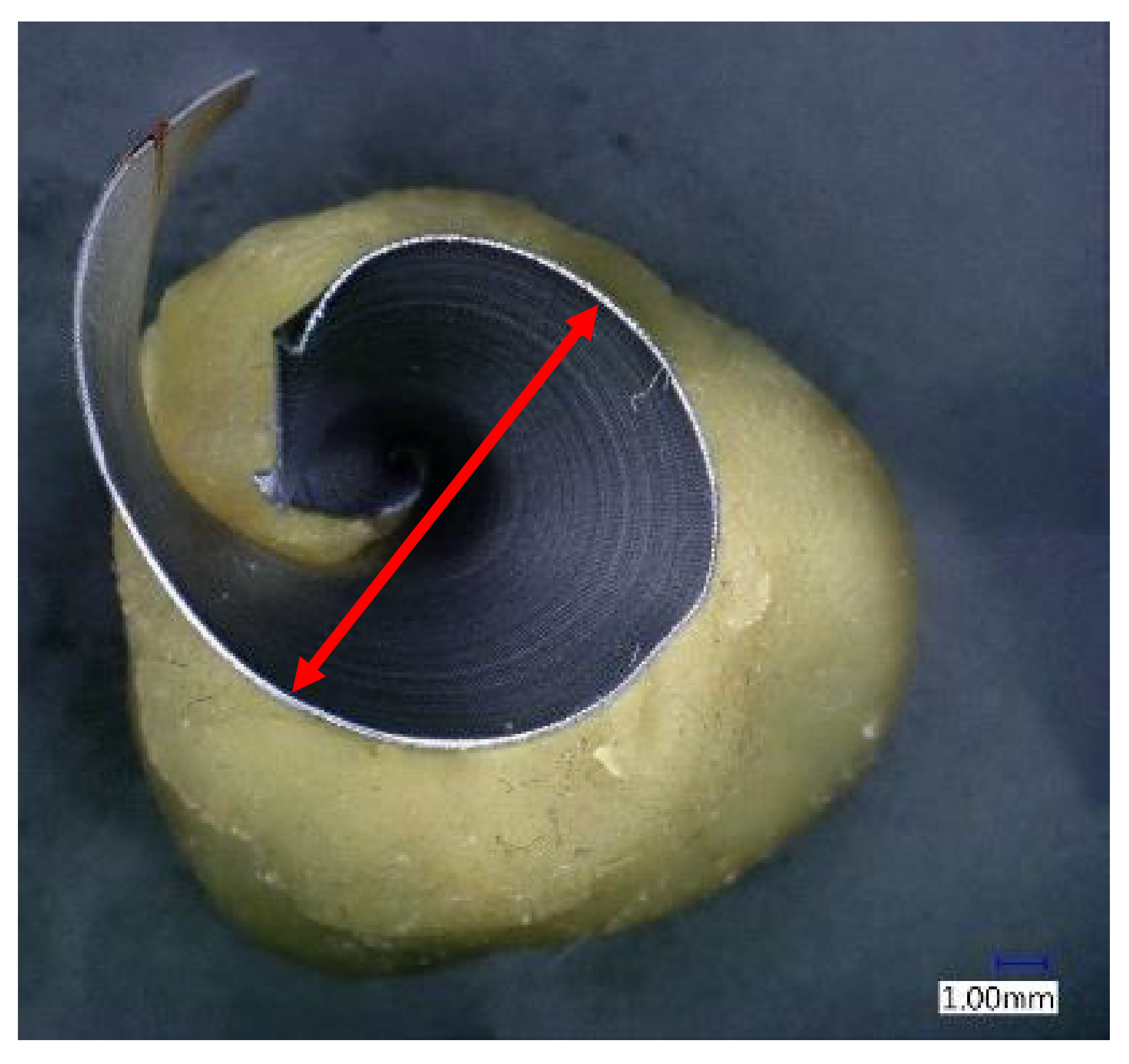 Materials 14 04381 g004