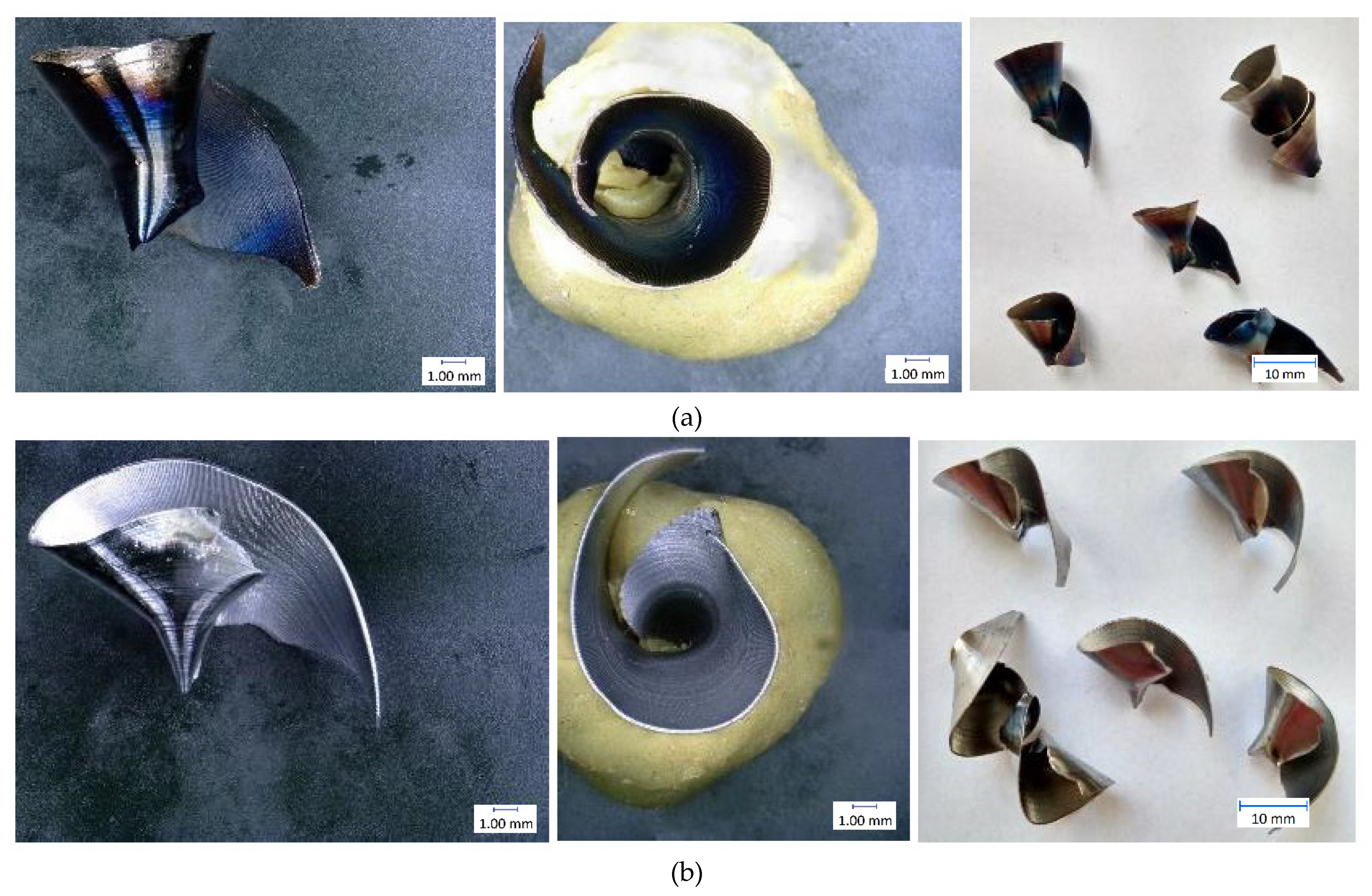 Materials 14 04381 g013