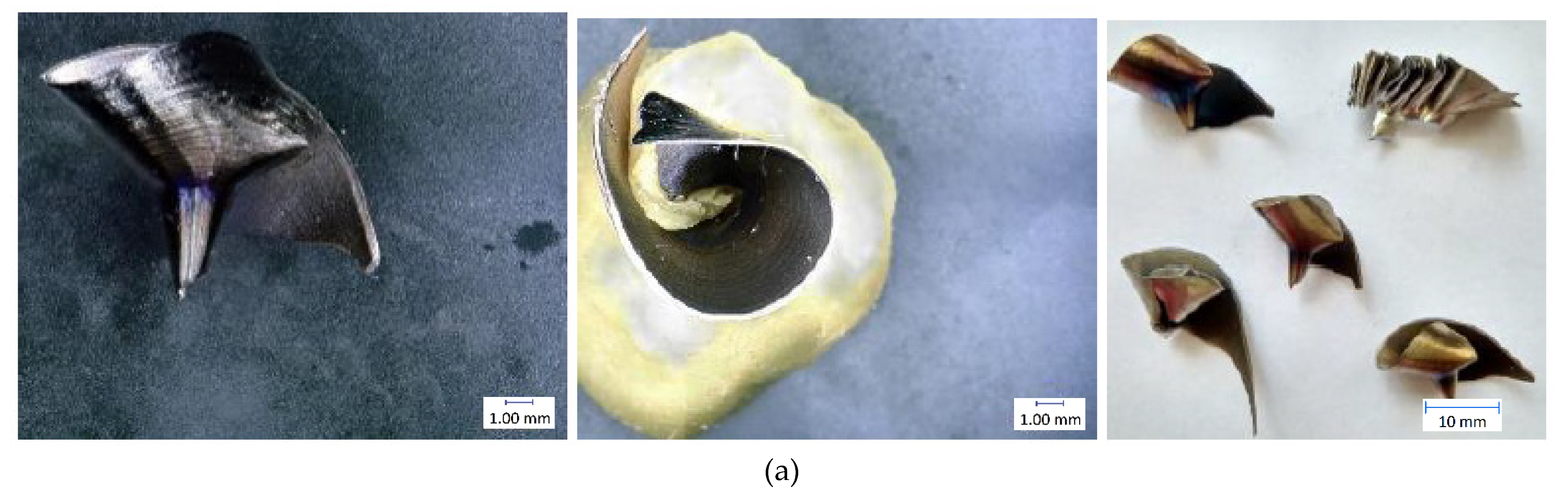 Materials 14 04381 g014a