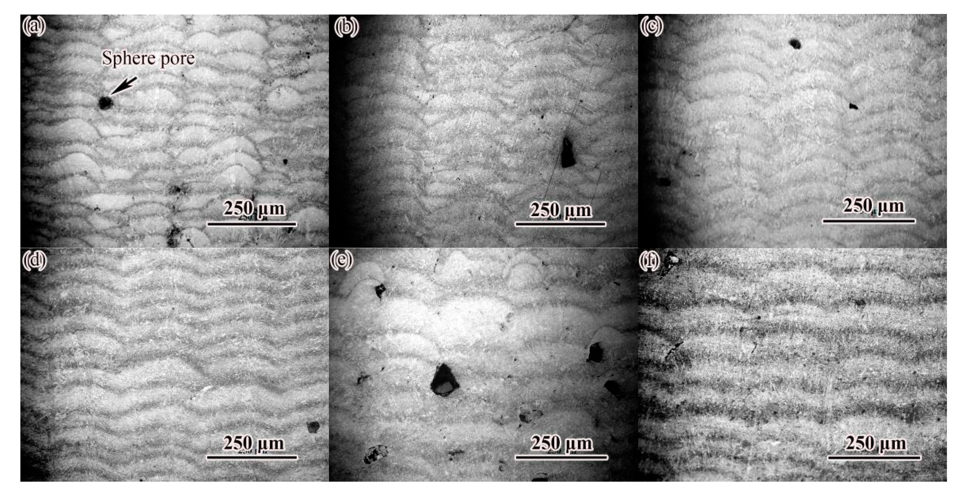 Materials 14 04383 g006