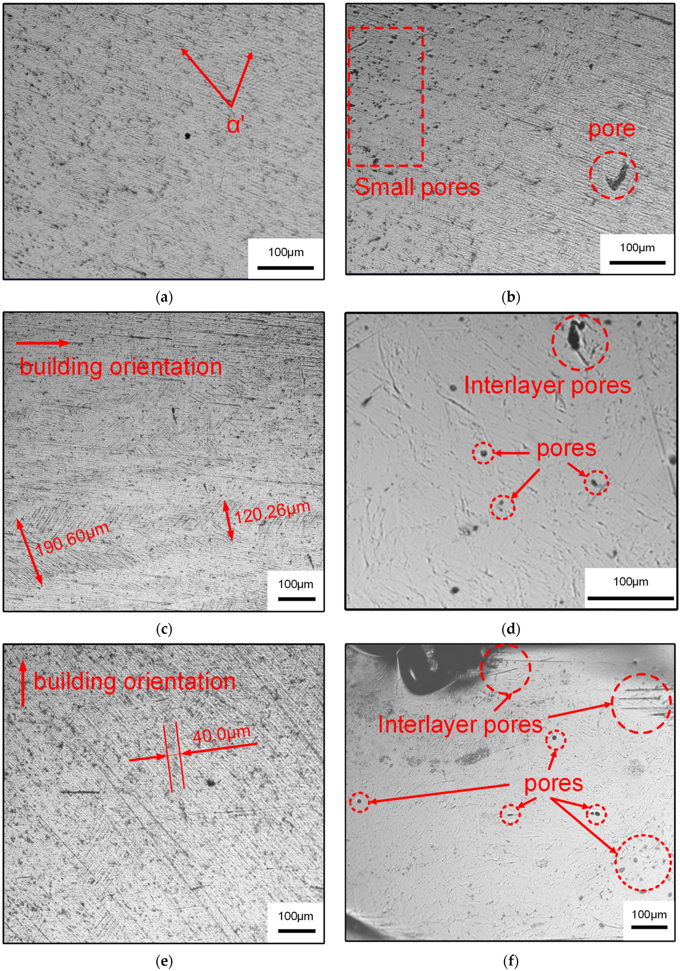 Materials 14 04392 g004