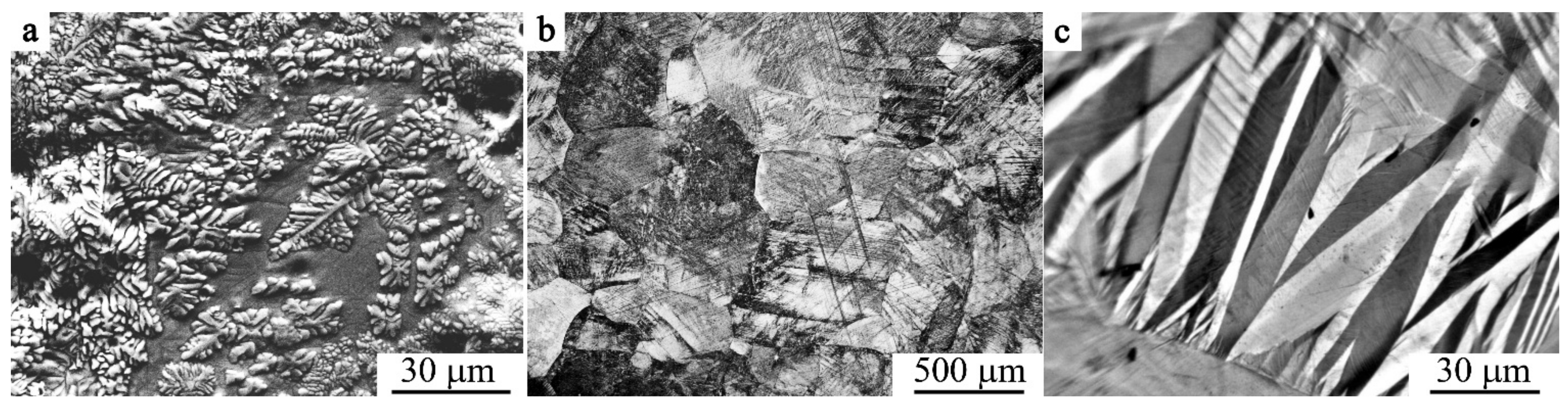 Materials 14 04394 g001 Materials 14 04394 g001