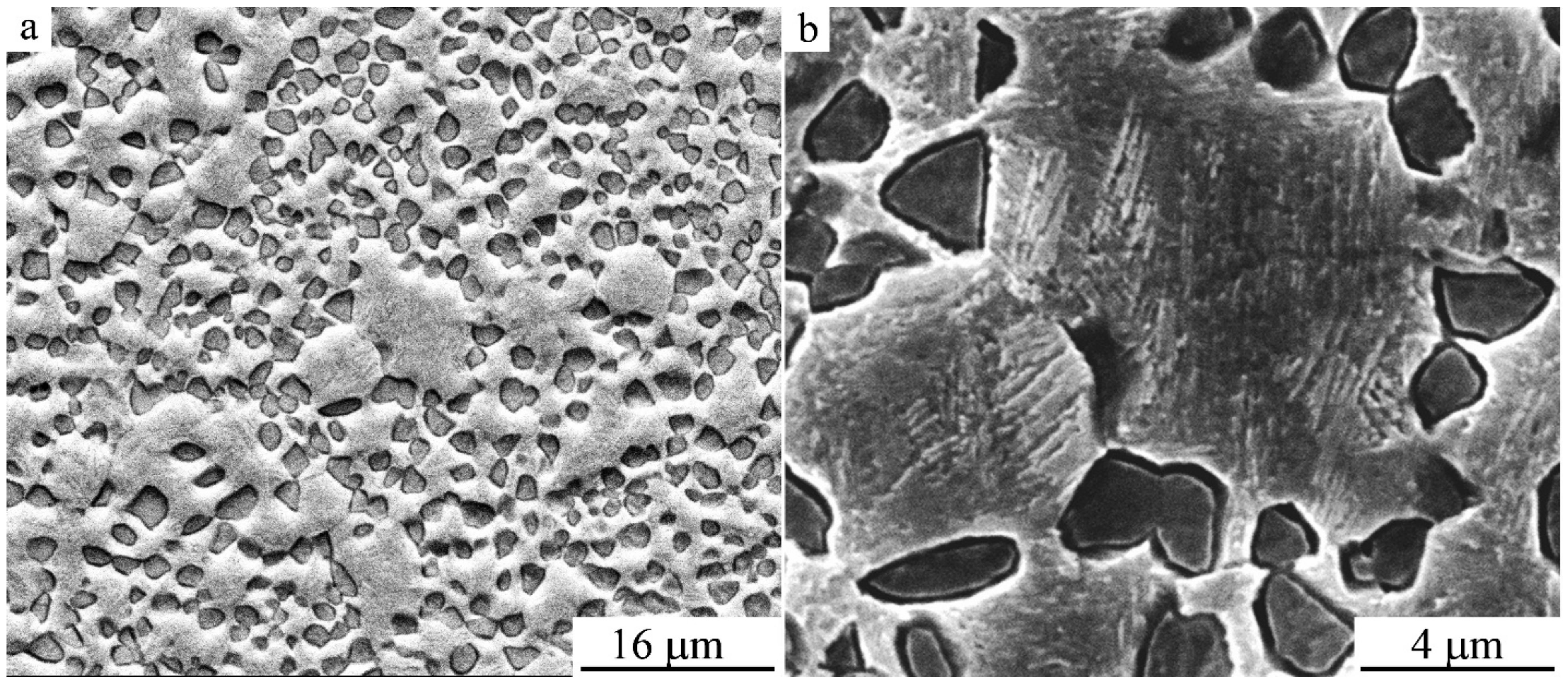 Materials 14 04394 g016 Materials 14 04394 g016