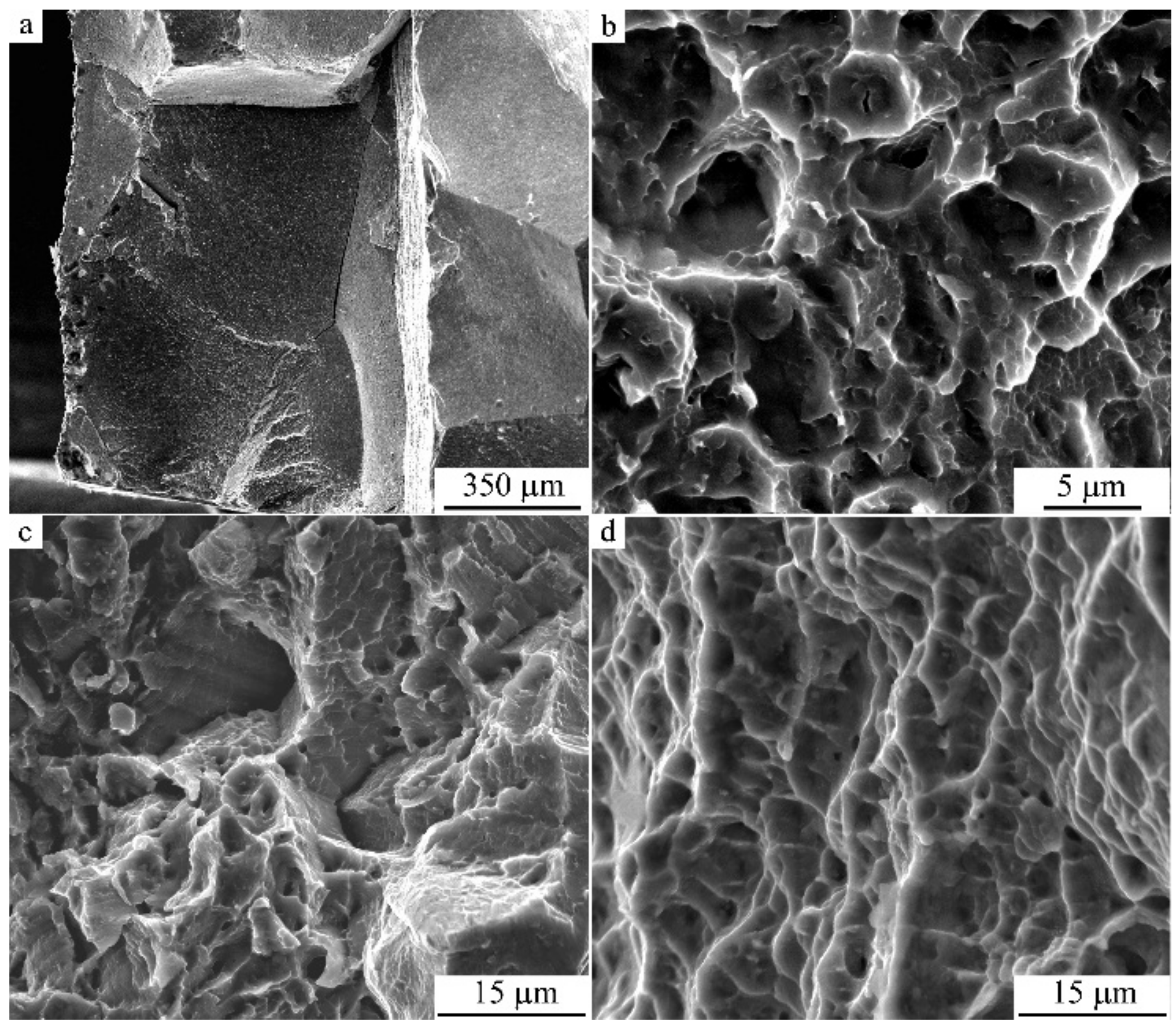 Materials 14 04394 g019 Materials 14 04394 g019