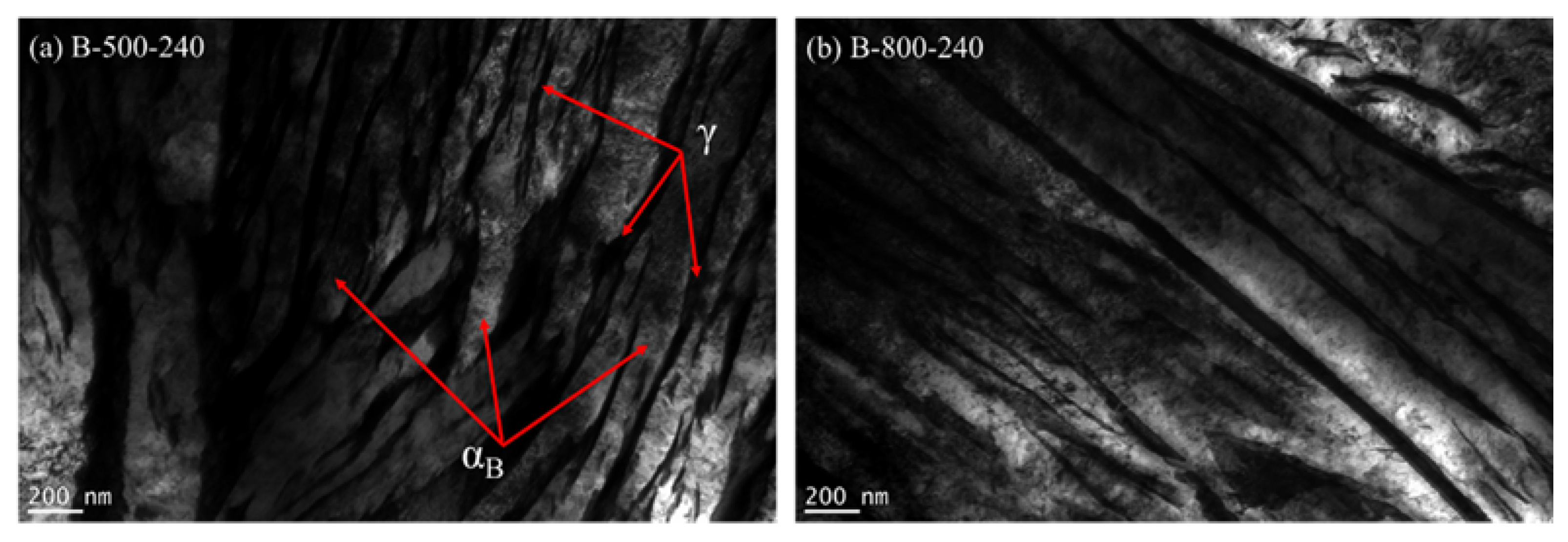 Materials 14 04411 g009