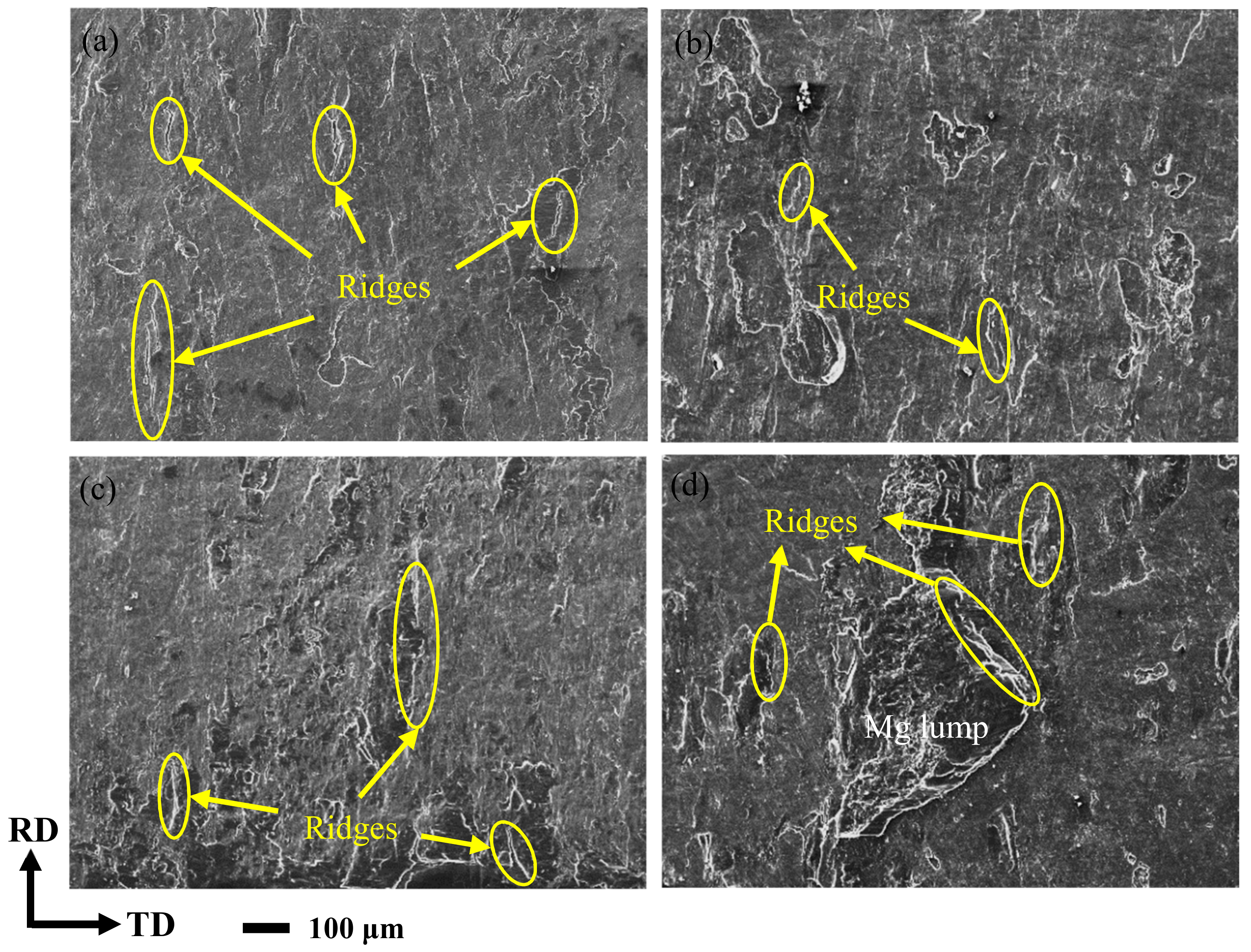 Materials 14 04412 g009