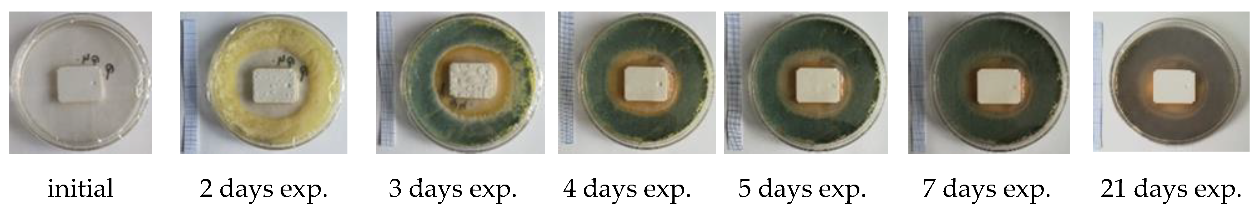 Materials 14 04442 g004