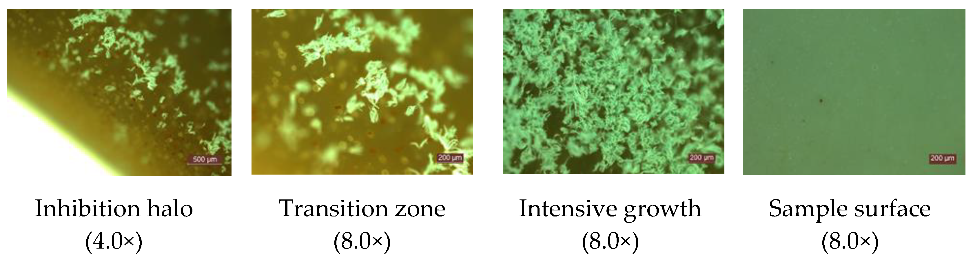 Materials 14 04442 g005