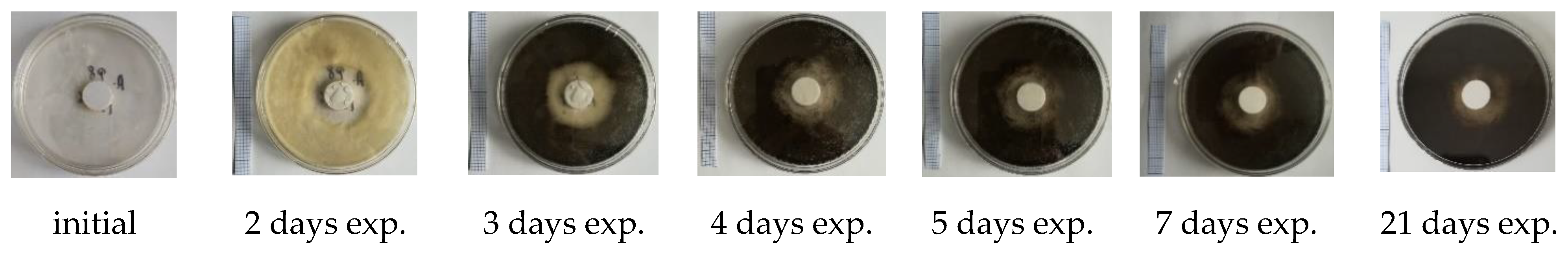 Materials 14 04442 g006