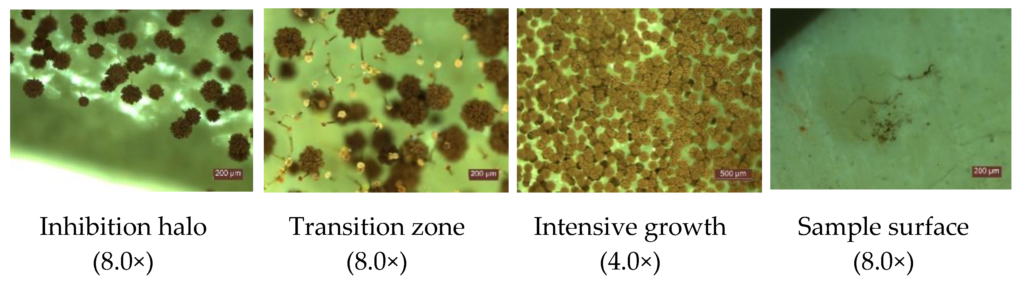 Materials 14 04442 g007