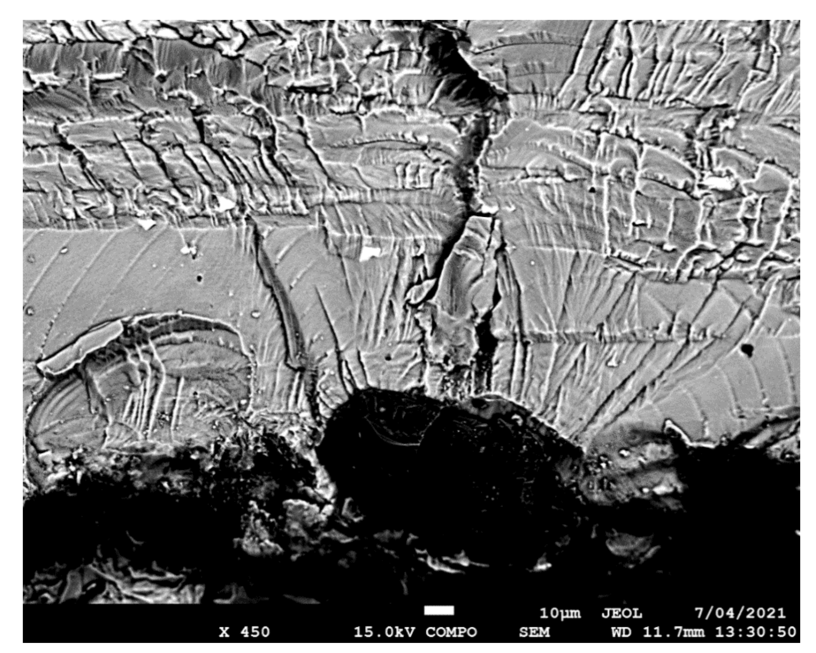 Materials 14 04451 g005