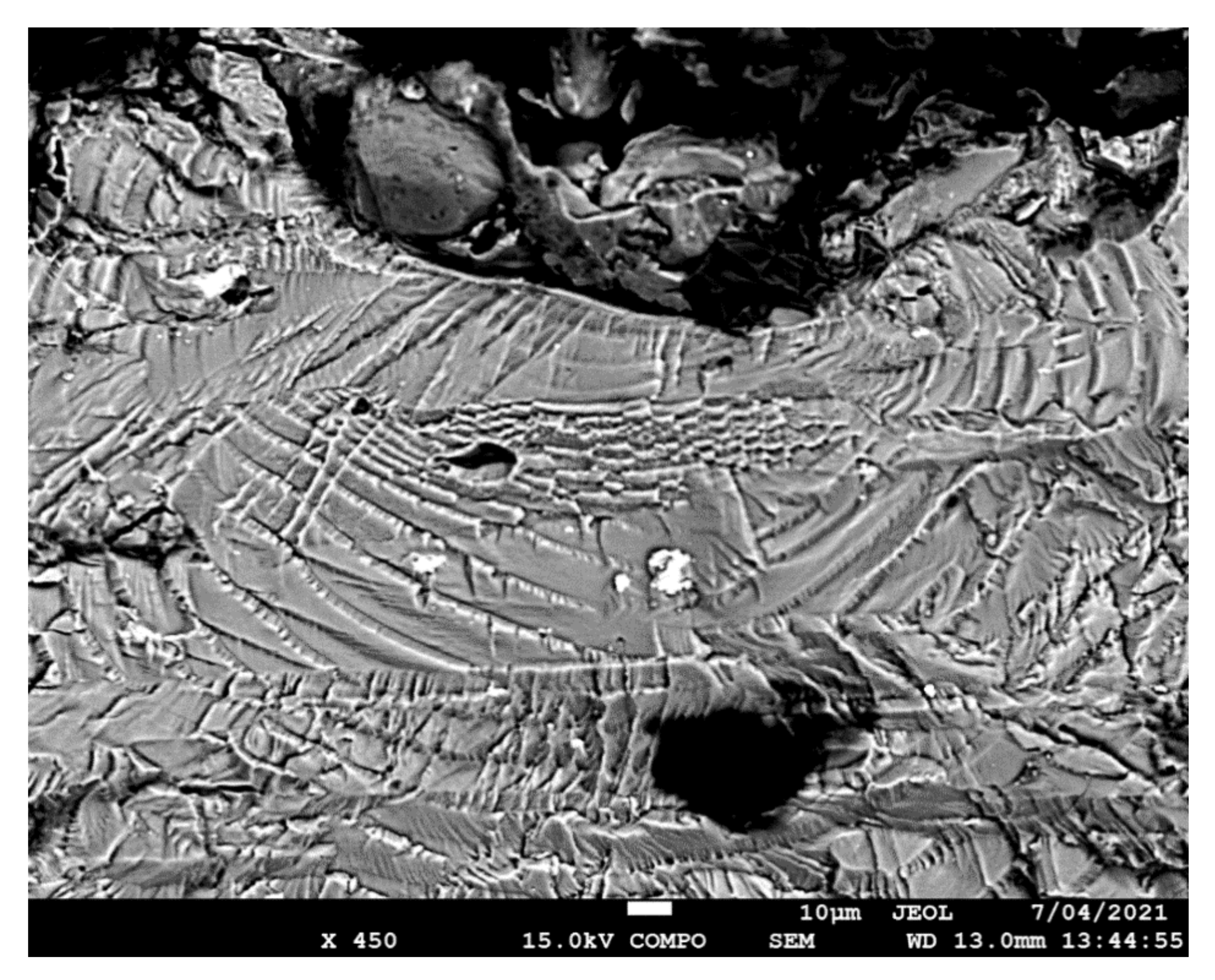 Materials 14 04451 g006