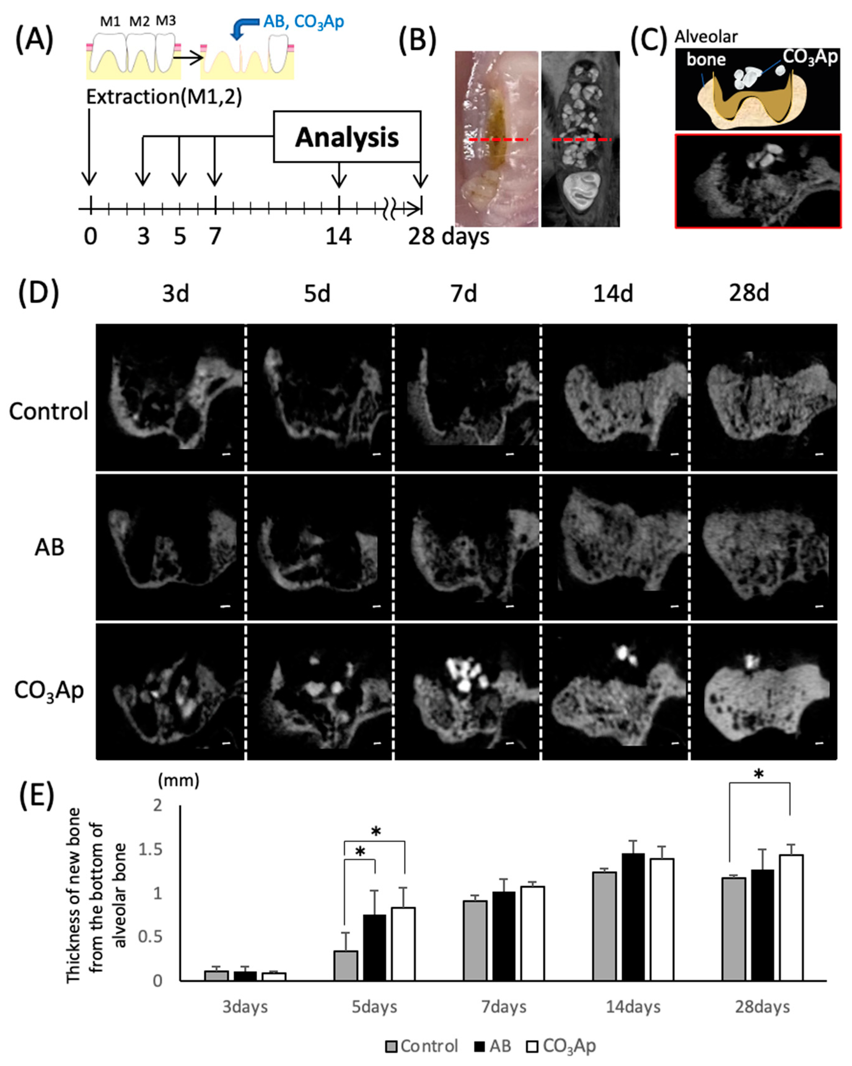Materials 14 04457 g002 Materials 14 04457 g002