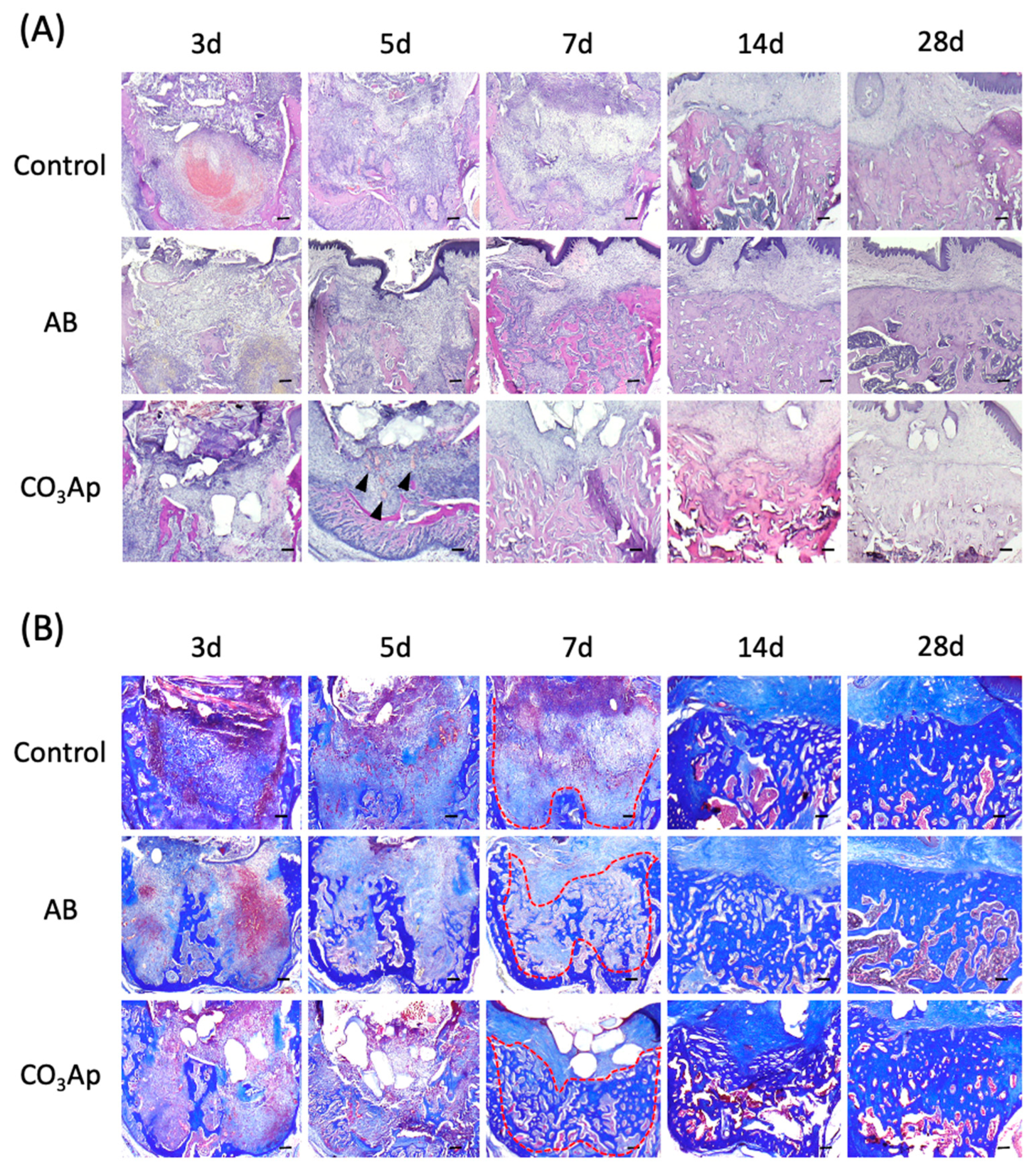 Materials 14 04457 g003 Materials 14 04457 g003