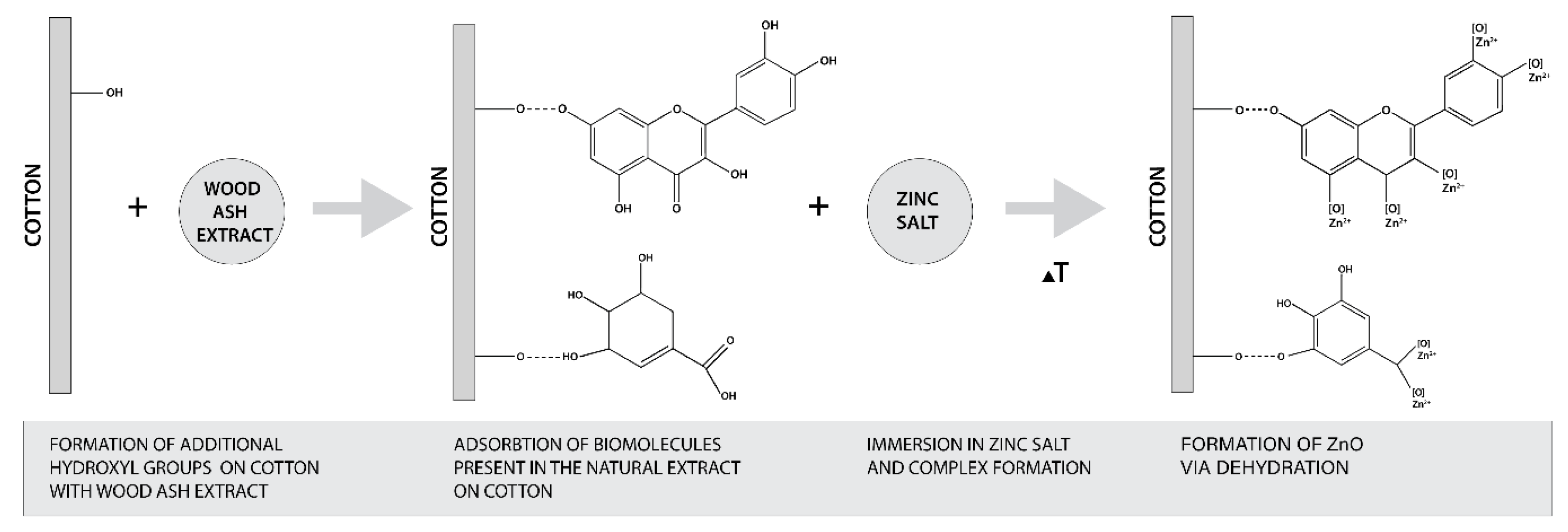 Materials 14 04472 g010