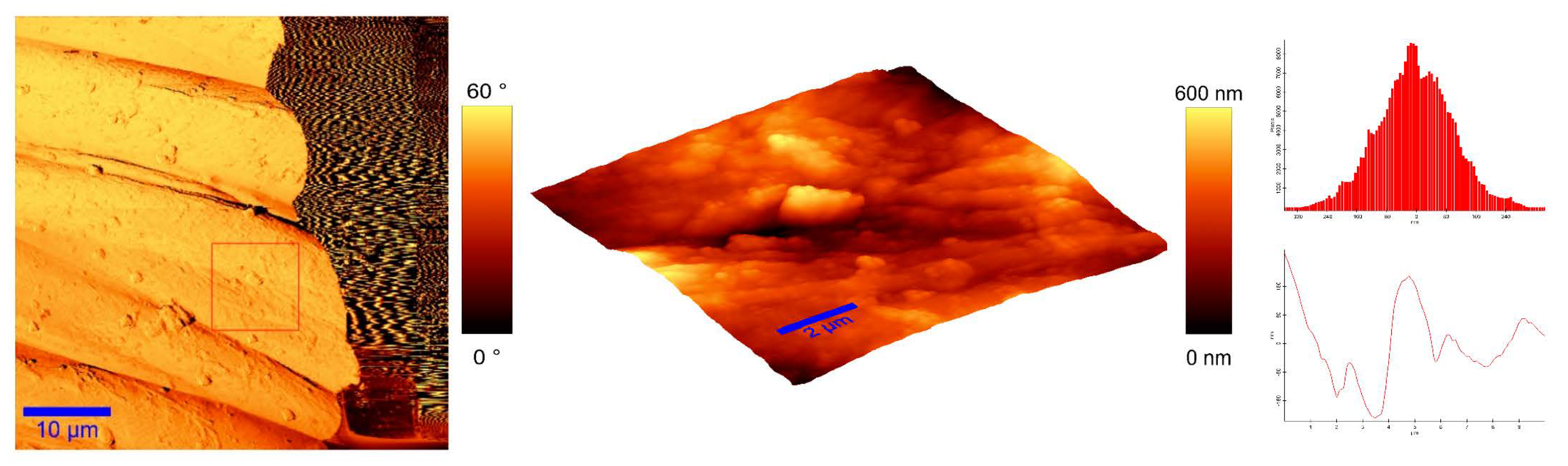 Materials 14 04472 g014