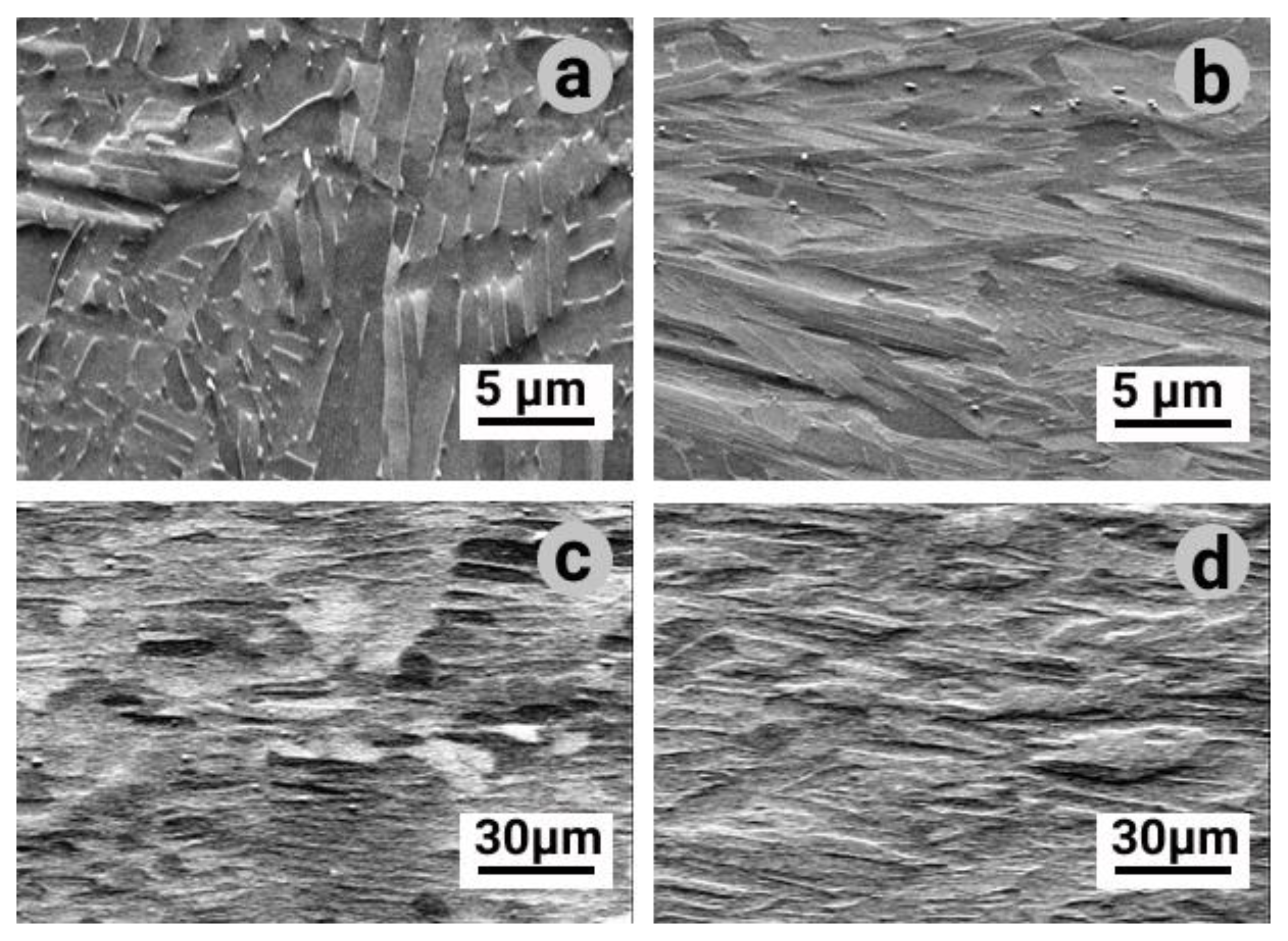 Materials 14 04473 g003