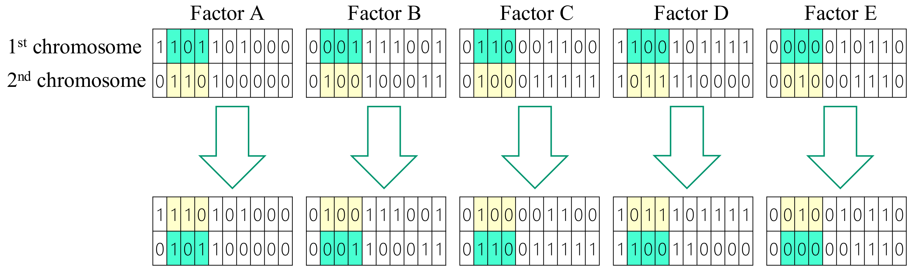 Materials 14 04481 g007