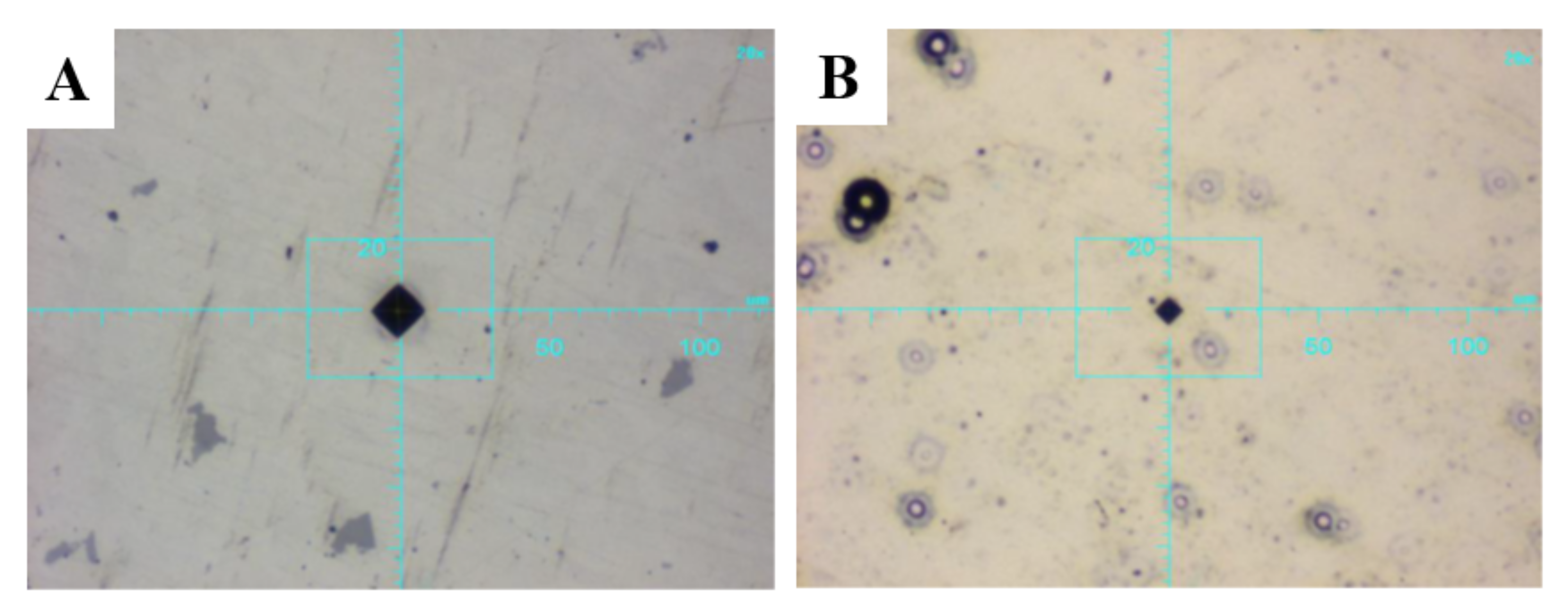 Materials 14 04487 g004